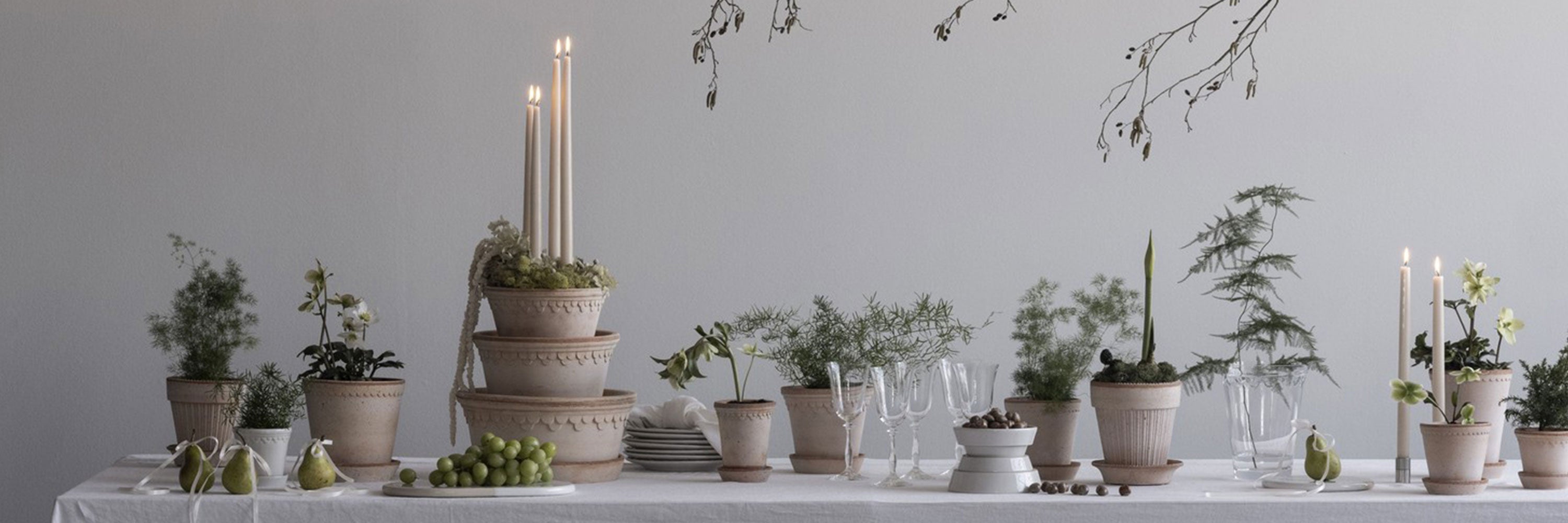 Pots Your Plants Love