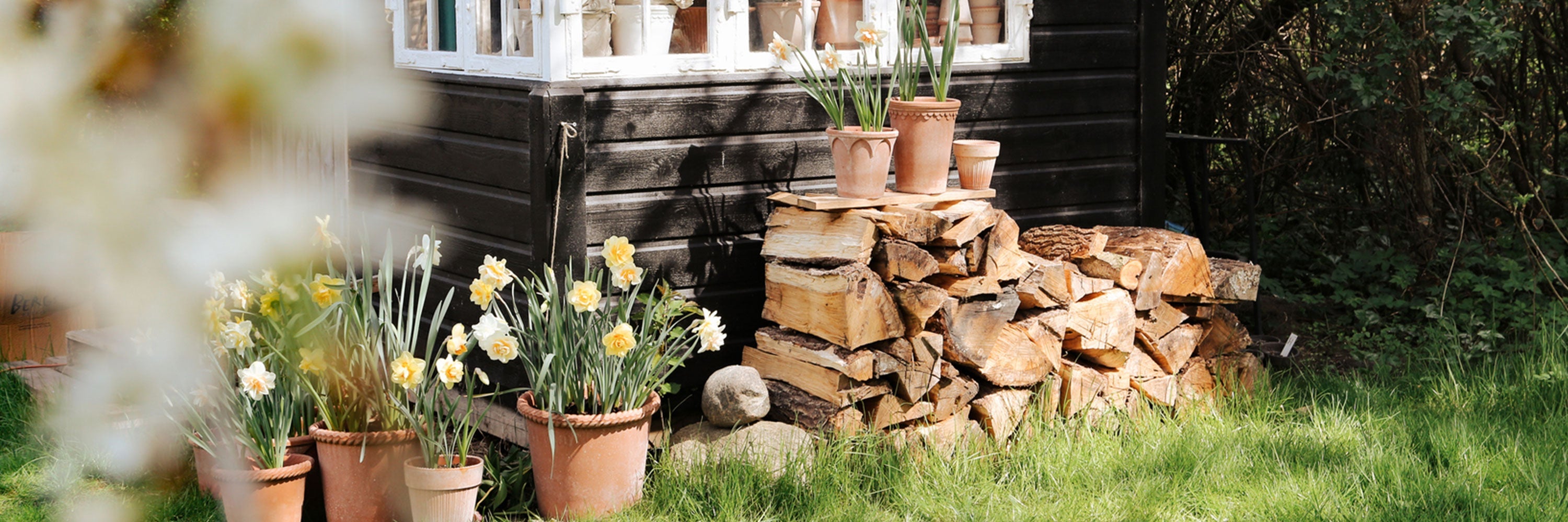 Outdoor Pots + Planters