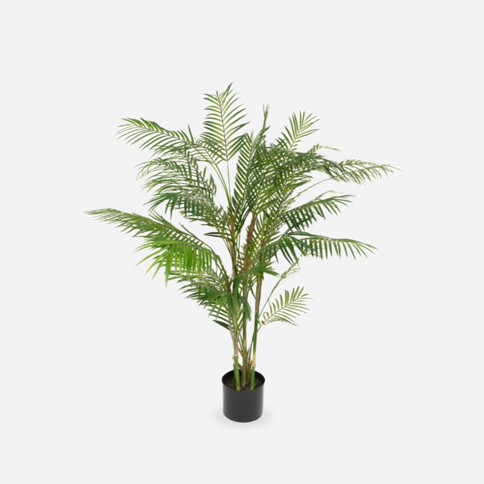 Faux Areca Palm in Pot