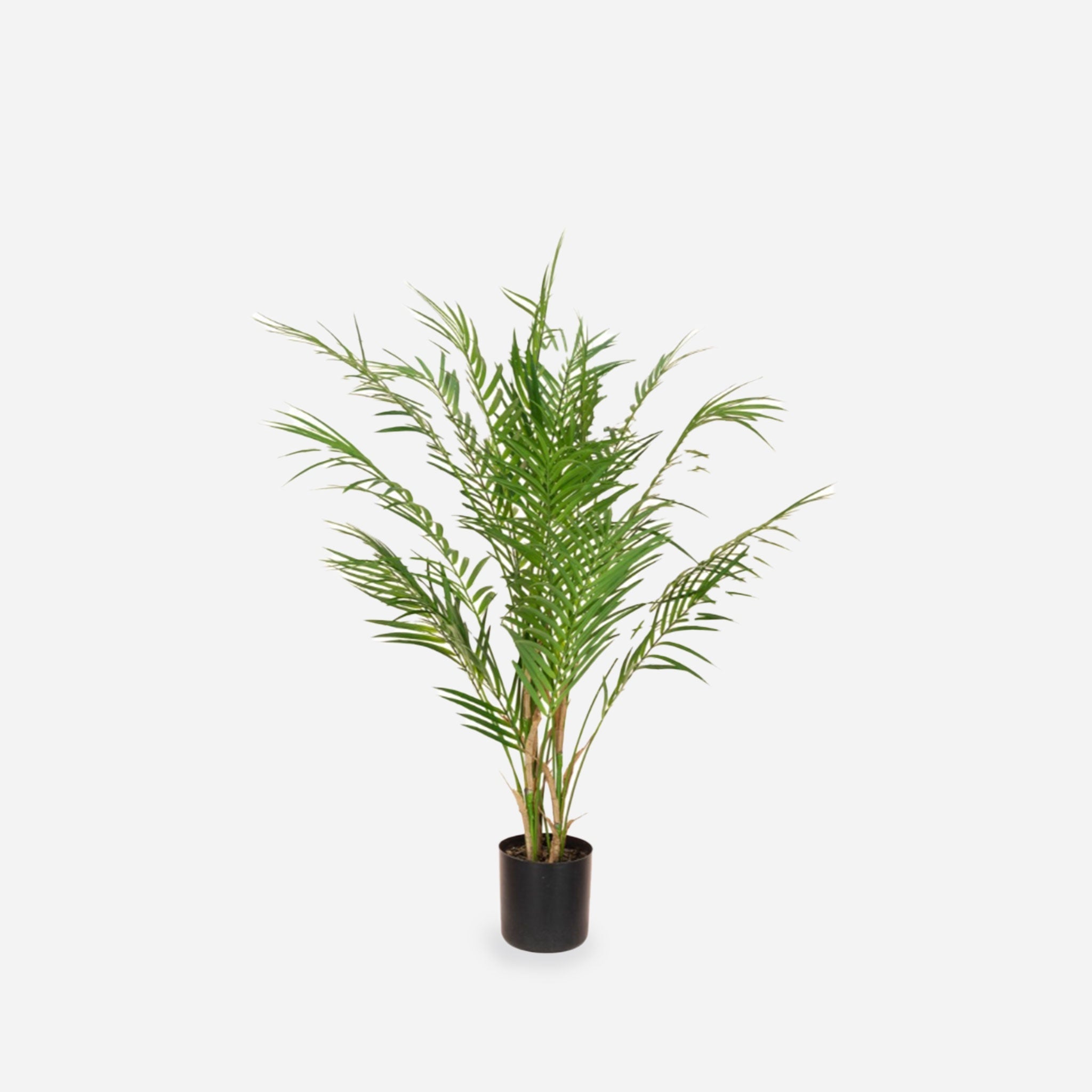 Faux Areca Palm in Pot