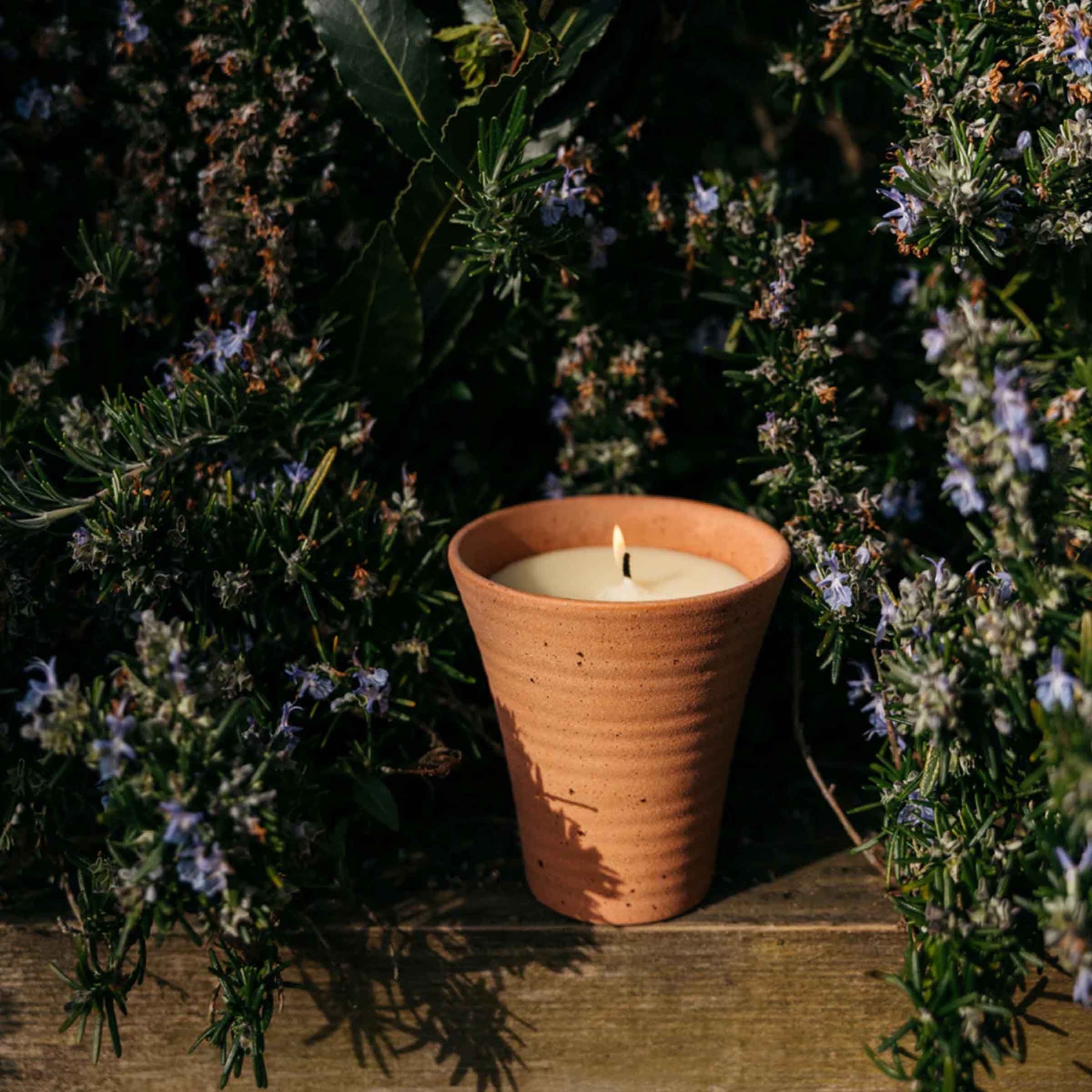 Bay & Rosemary Potager Pot Candle