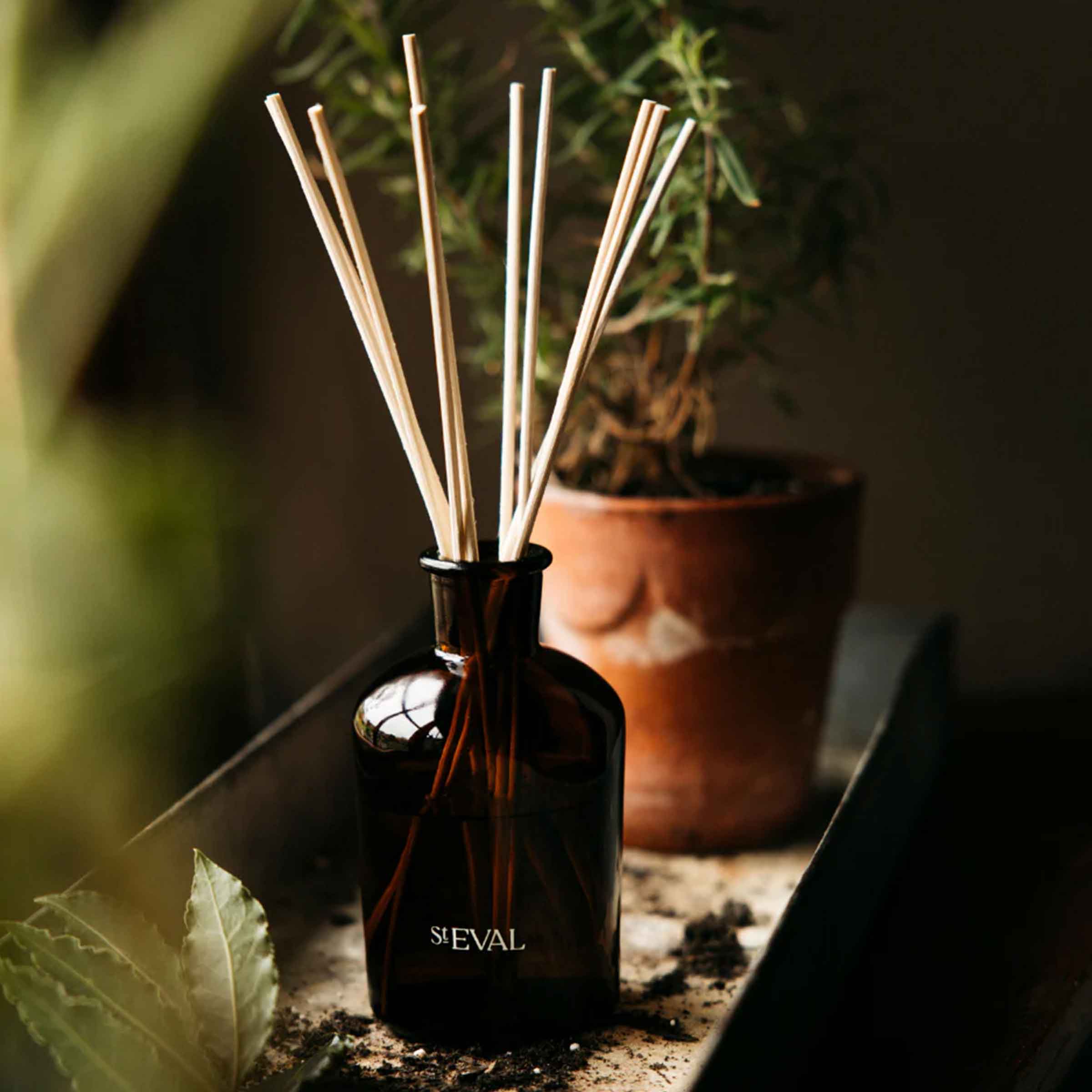 Bergamot & Nettle Diffuser | Refill