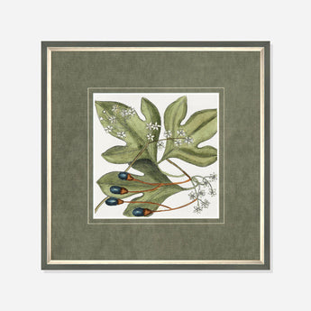 Botanical Beauty Watercolour Print