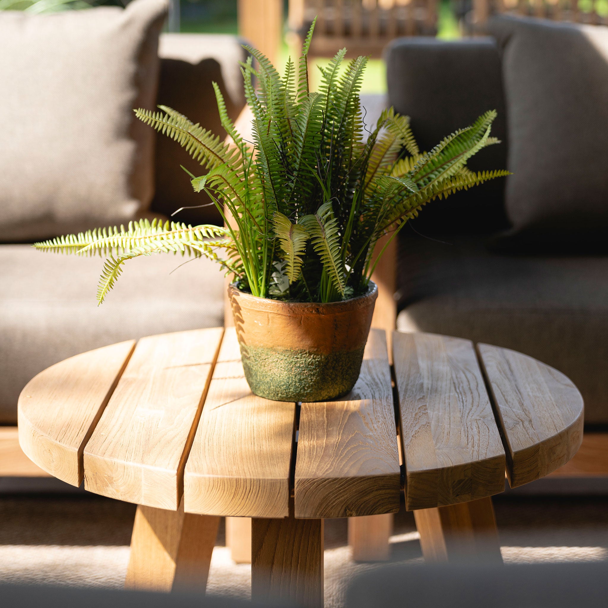 Jayu Coffee Table