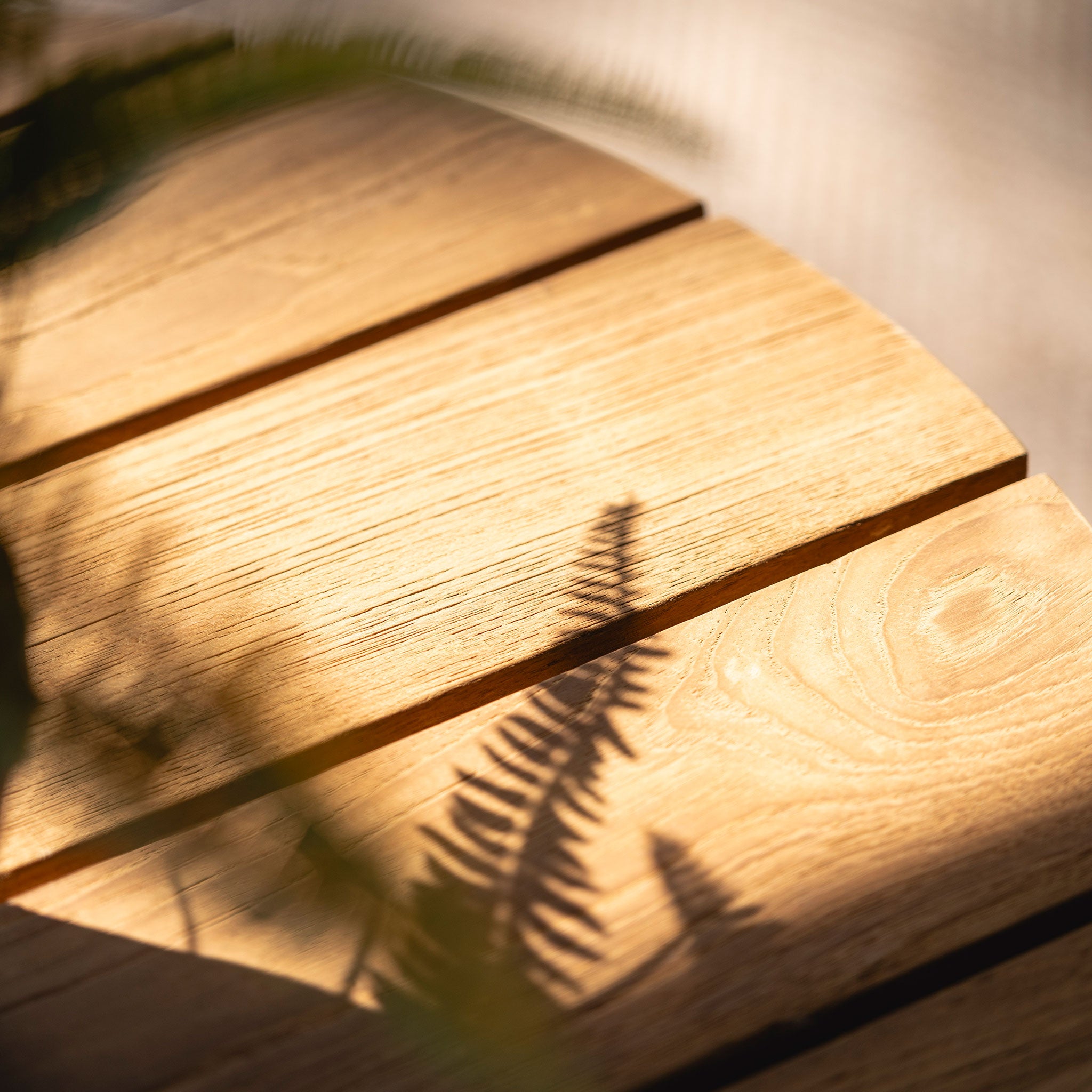 Jayu Coffee Table