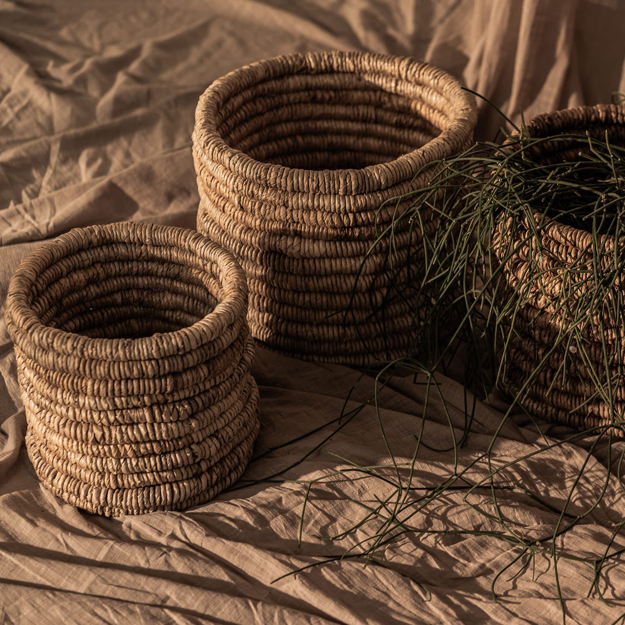 Caterpillar Ambang Basket I Two Tone