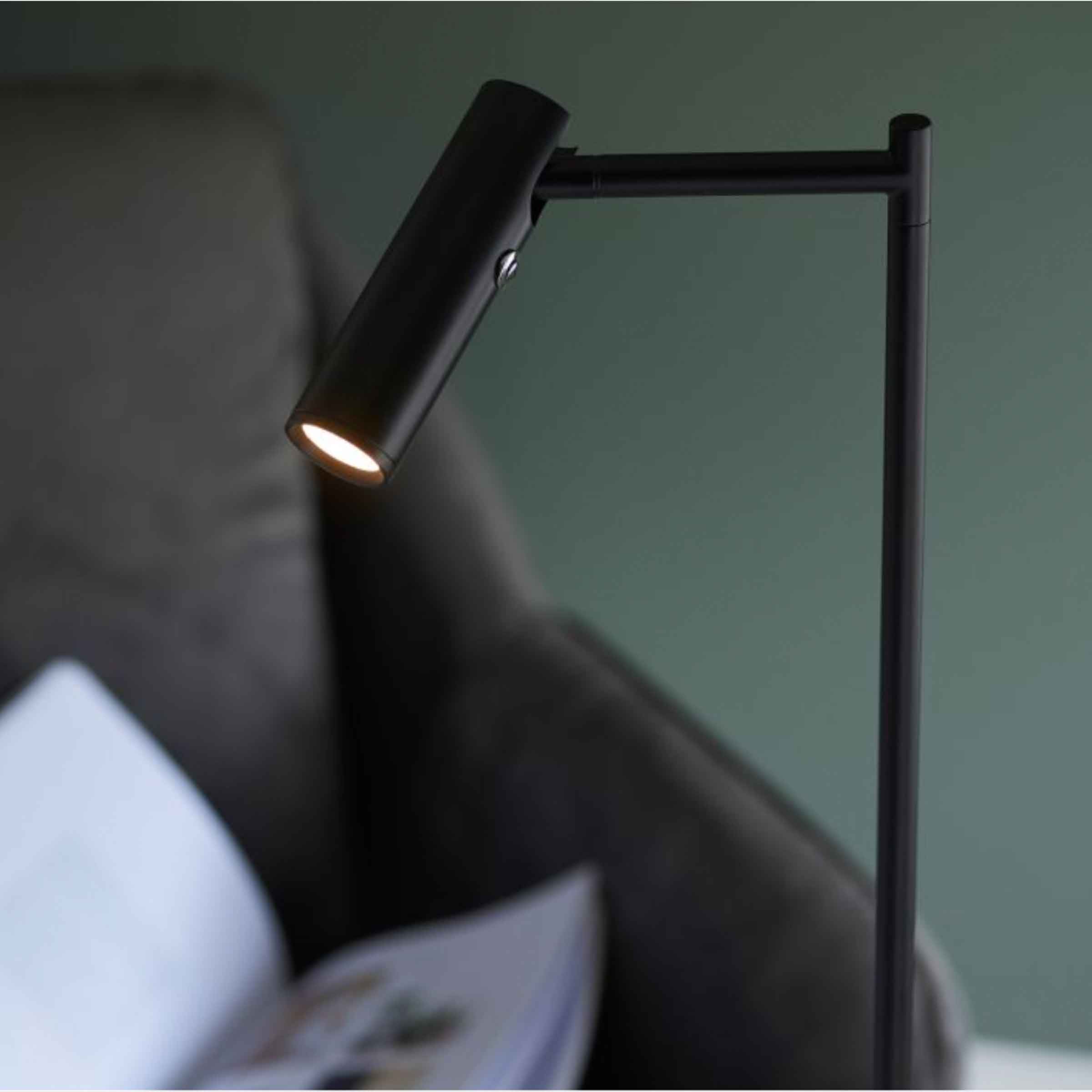 Dedicated Reader Floor Lamp