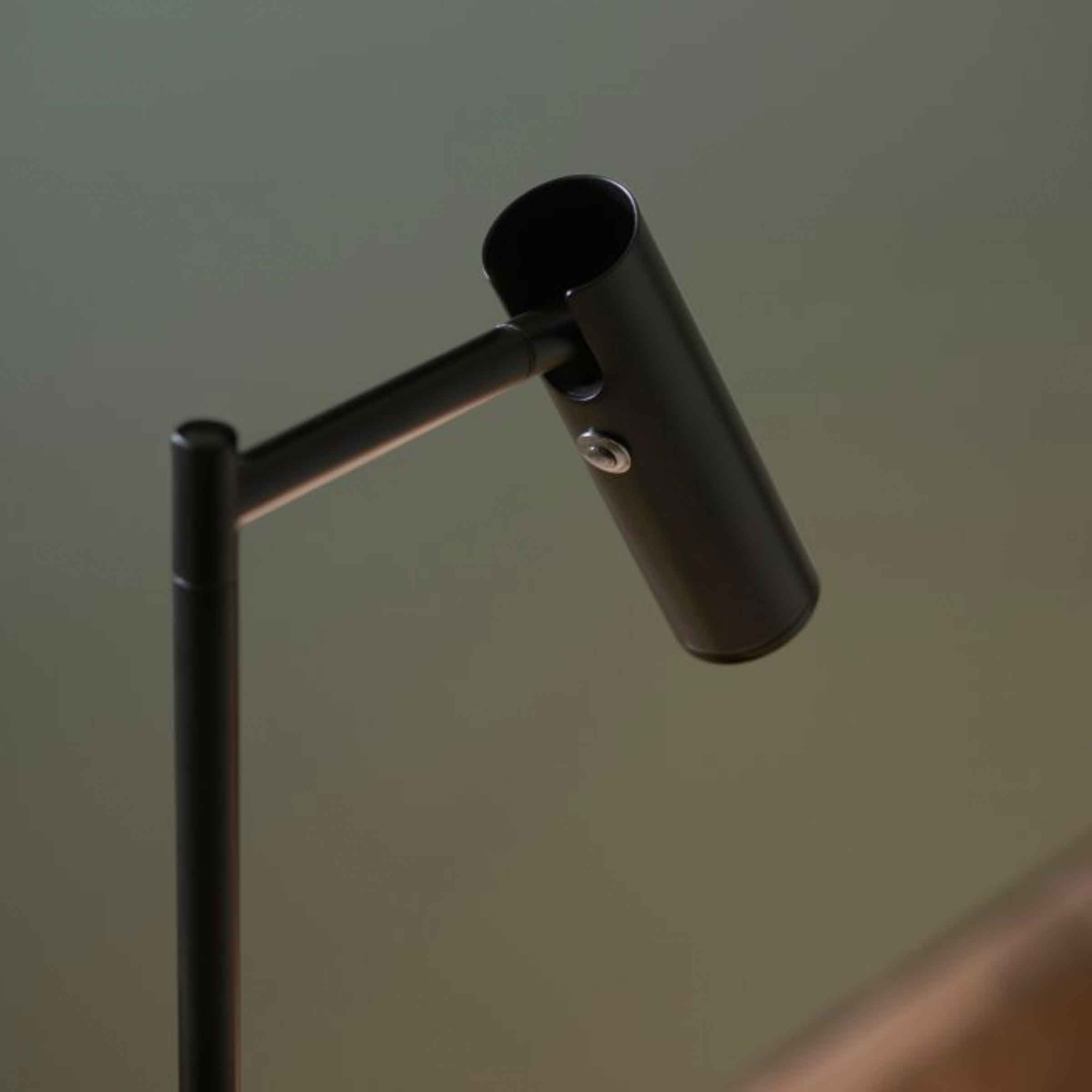 Dedicated Reader Floor Lamp