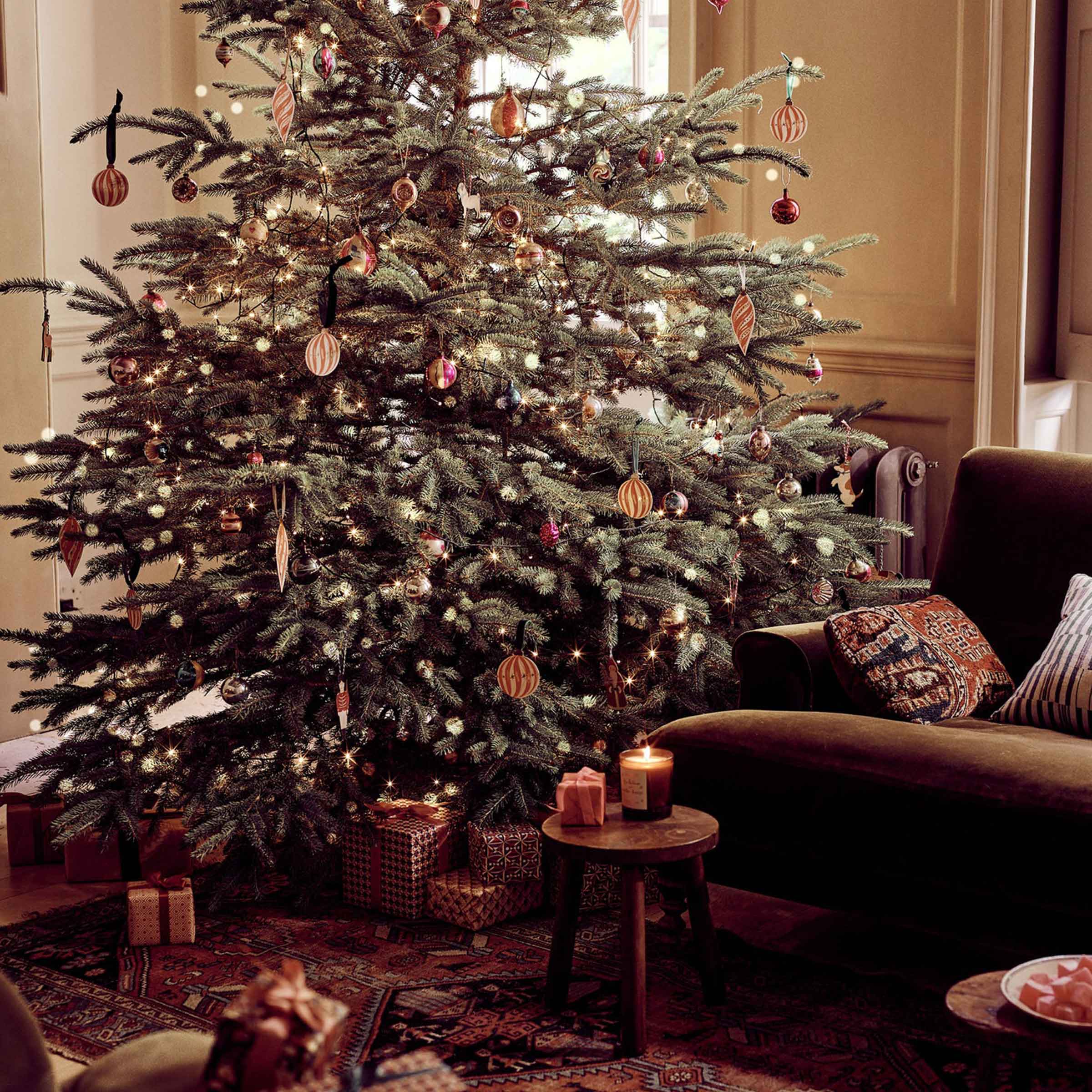 Fir Balsam & Winter Berries Candle