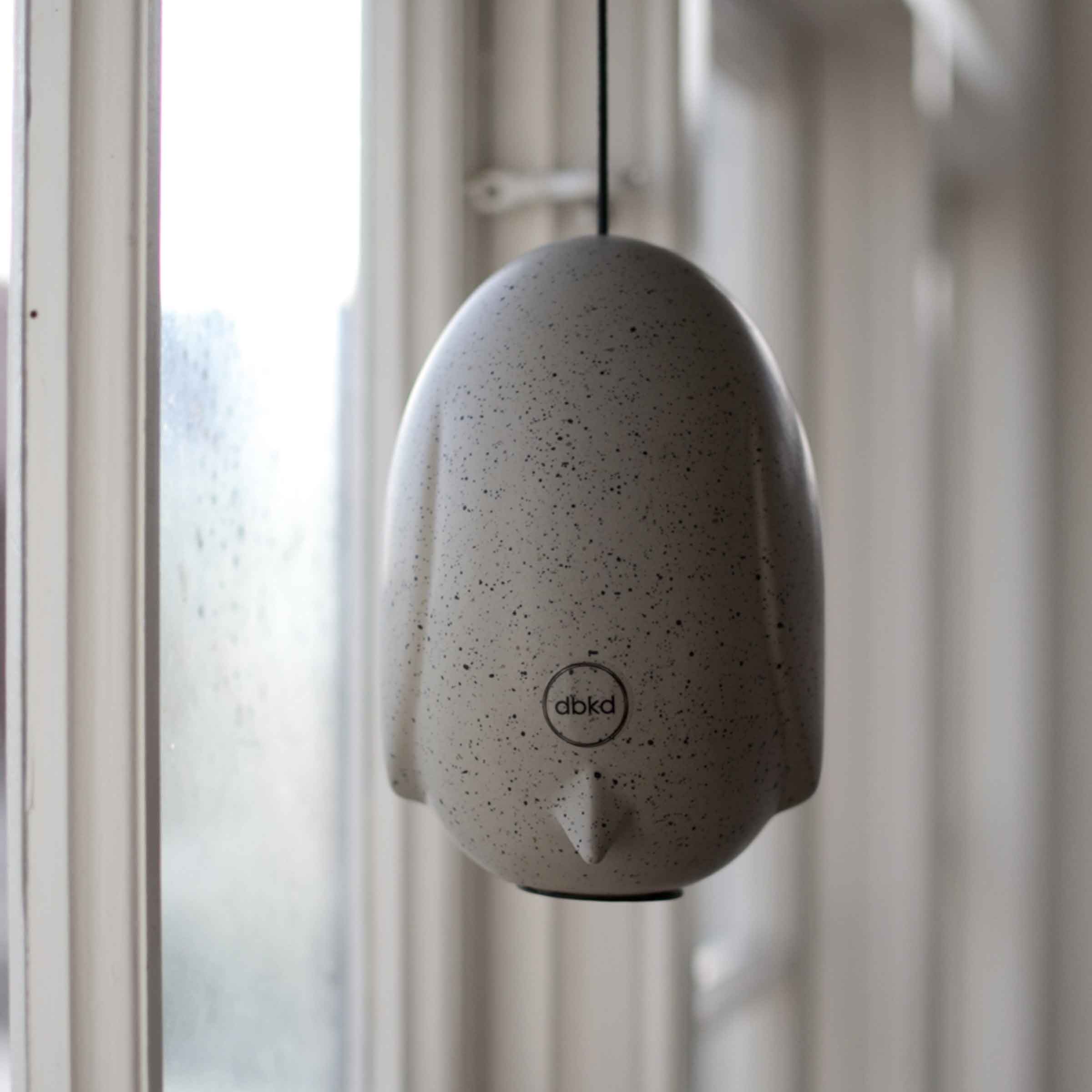 Hang Around Chicken | Mole Dot