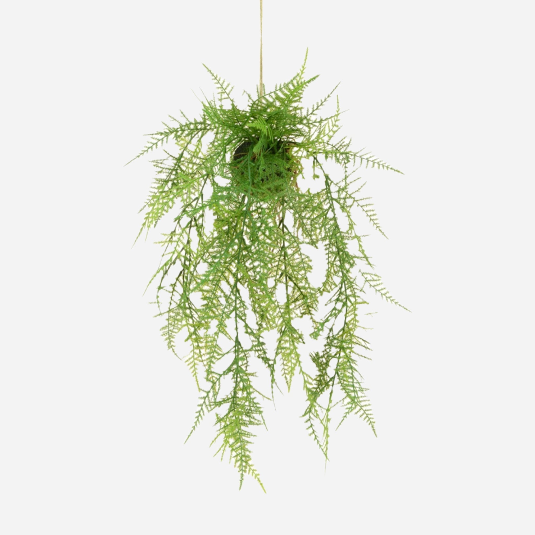 Hanging Faux Fern