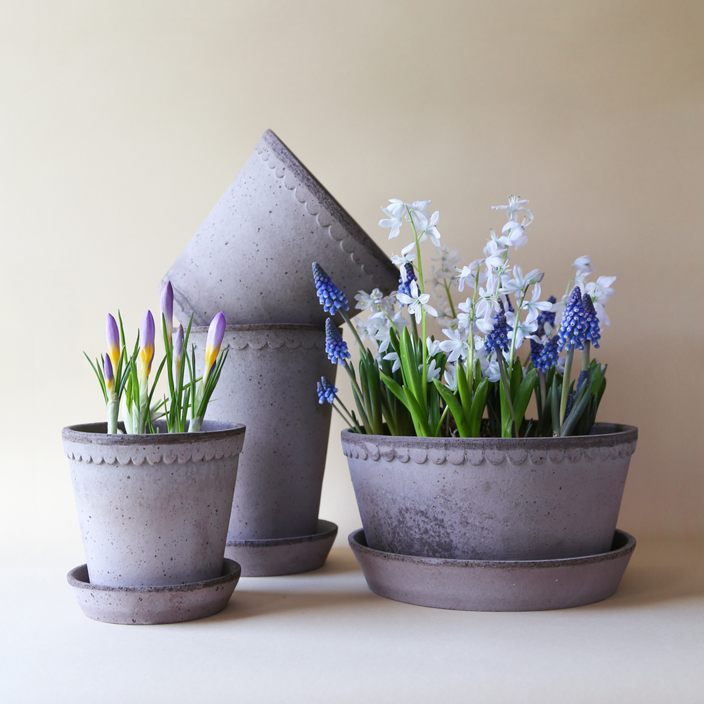 Helena Low Pot + Saucer | Grey