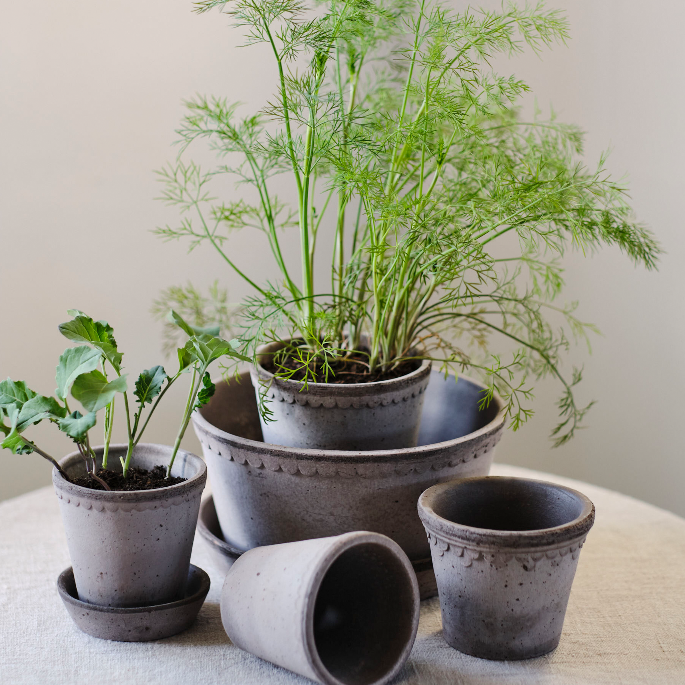 Helena Plant Pot + Saucer | Grey