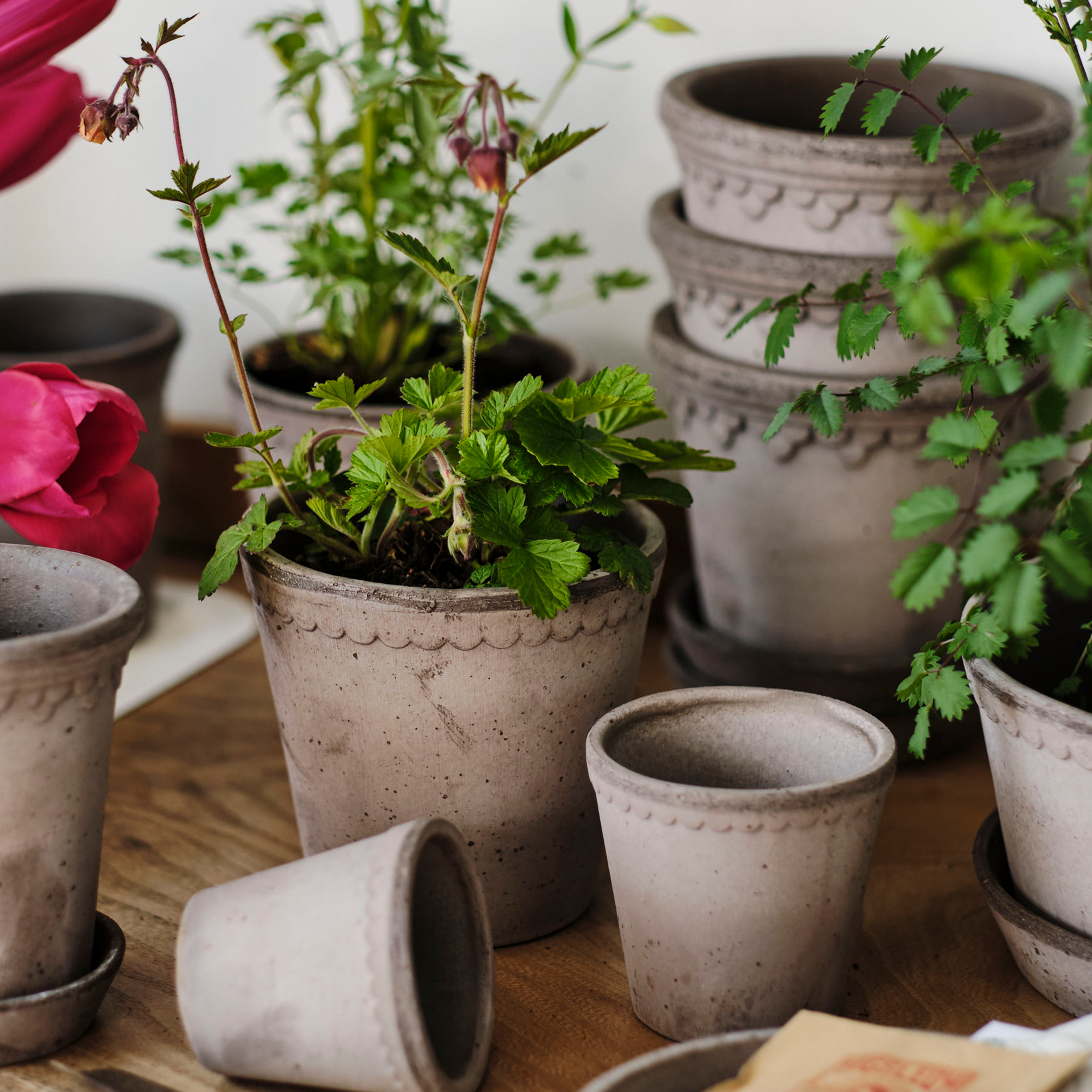 Helena Plant Pot + Saucer | Grey