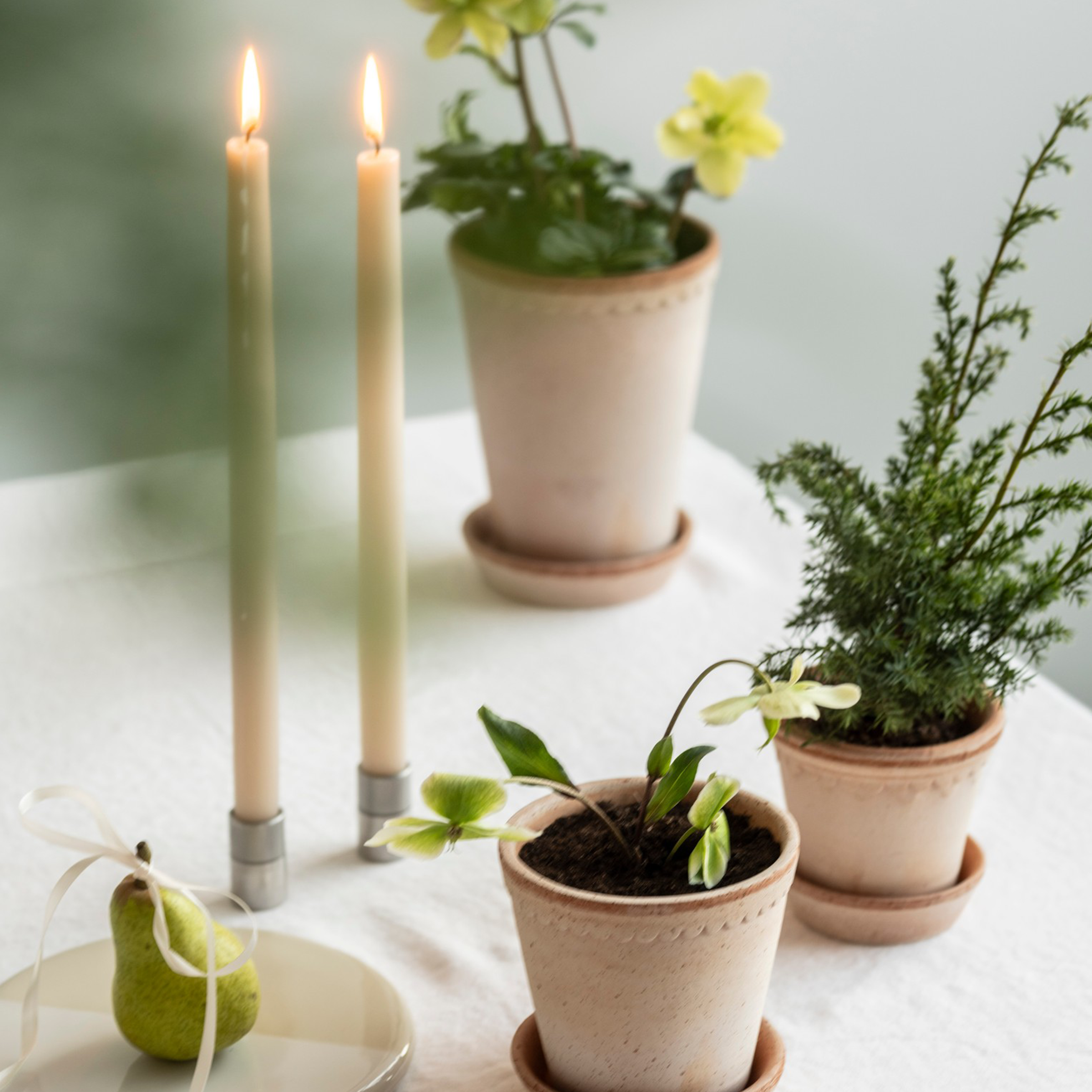 Helena Plant Pot + Saucer | Rosa