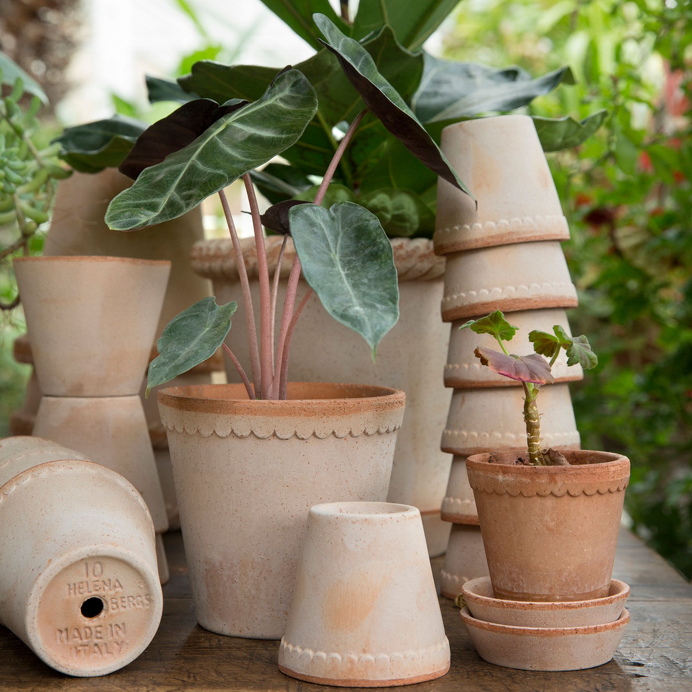 Helena Plant Pot + Saucer | Rosa