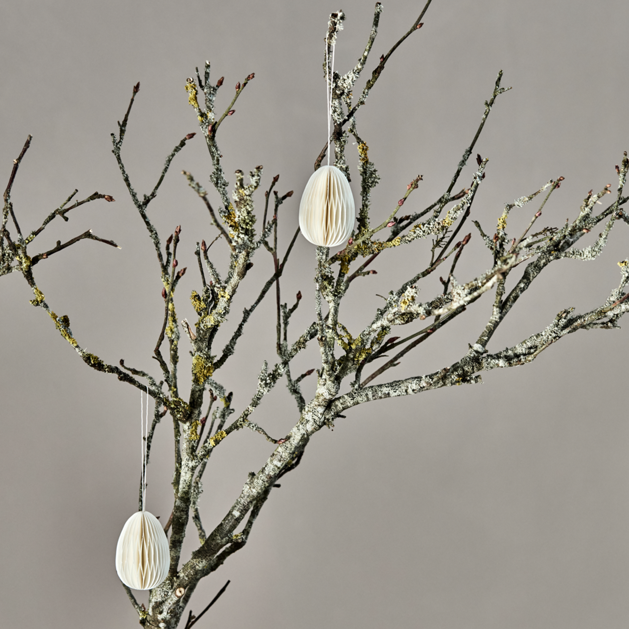 Honeycomb Egg Decorations