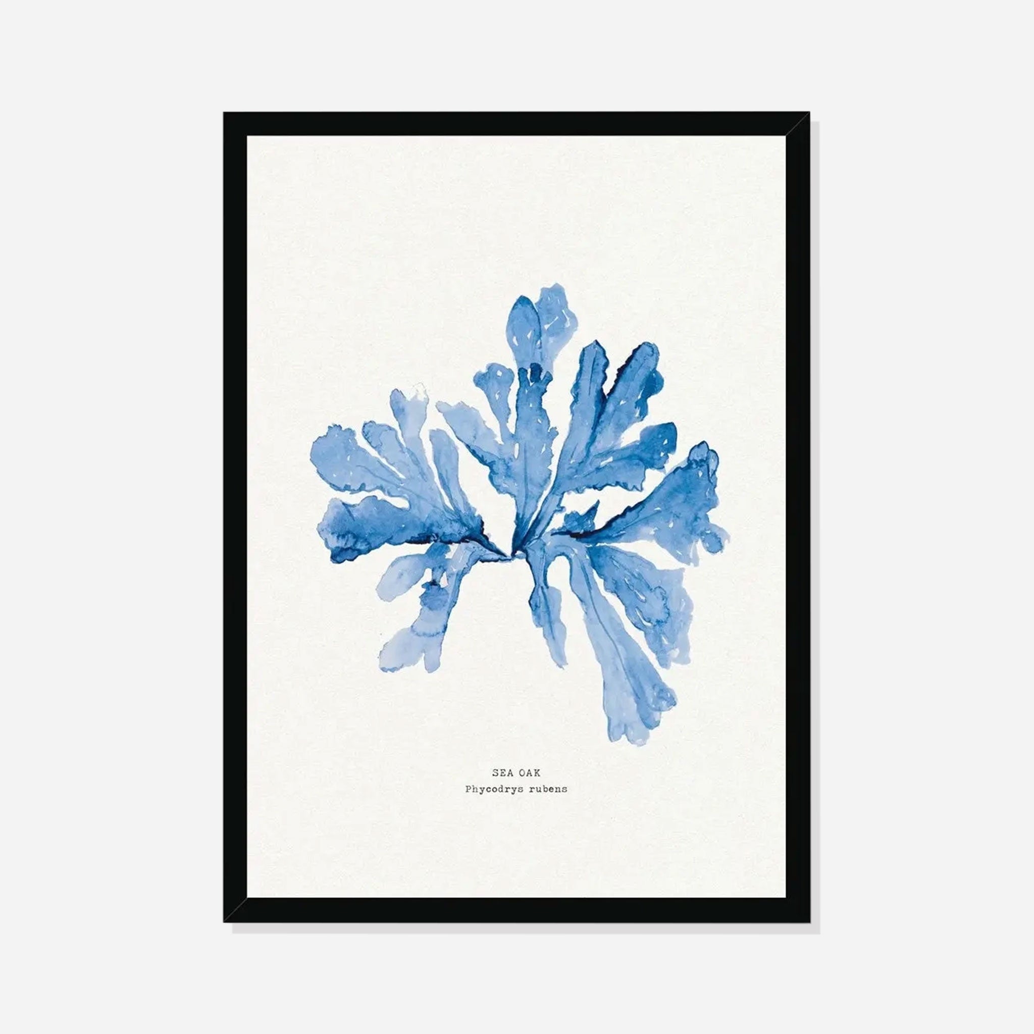 Indigo Seaweed Print Wall Art (Sea Oak) - Framed