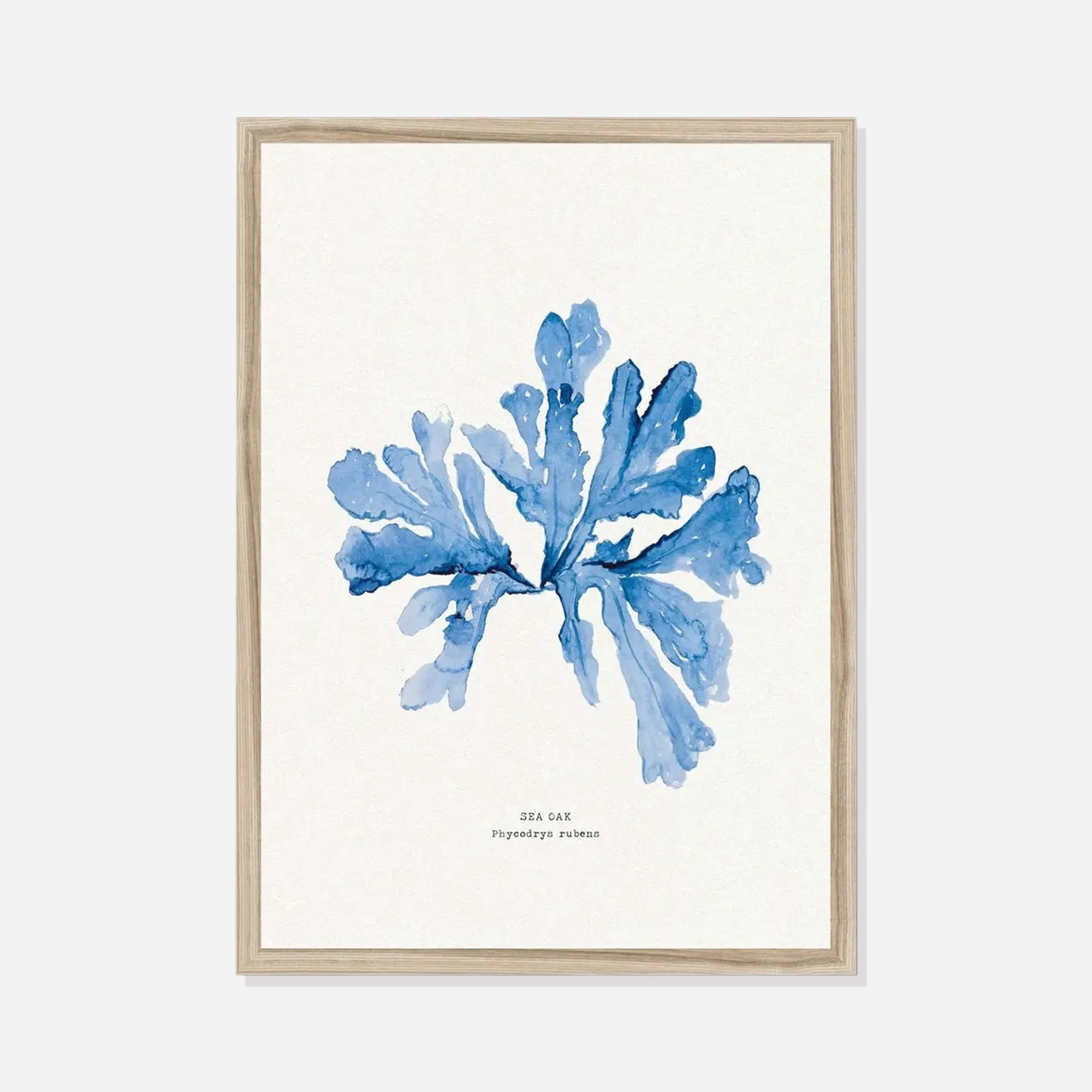 Indigo Seaweed Print Wall Art (Sea Oak) - Framed