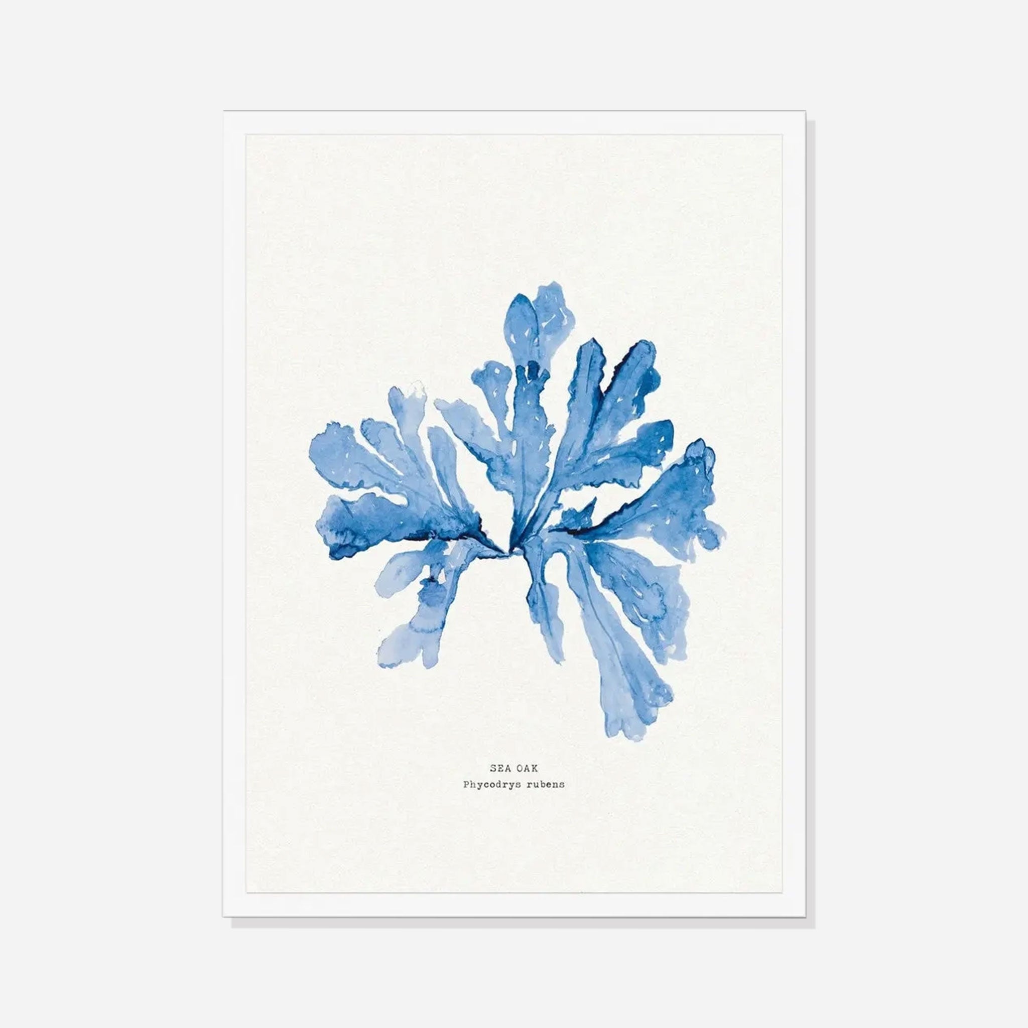 Indigo Seaweed Print Wall Art (Sea Oak) - Framed