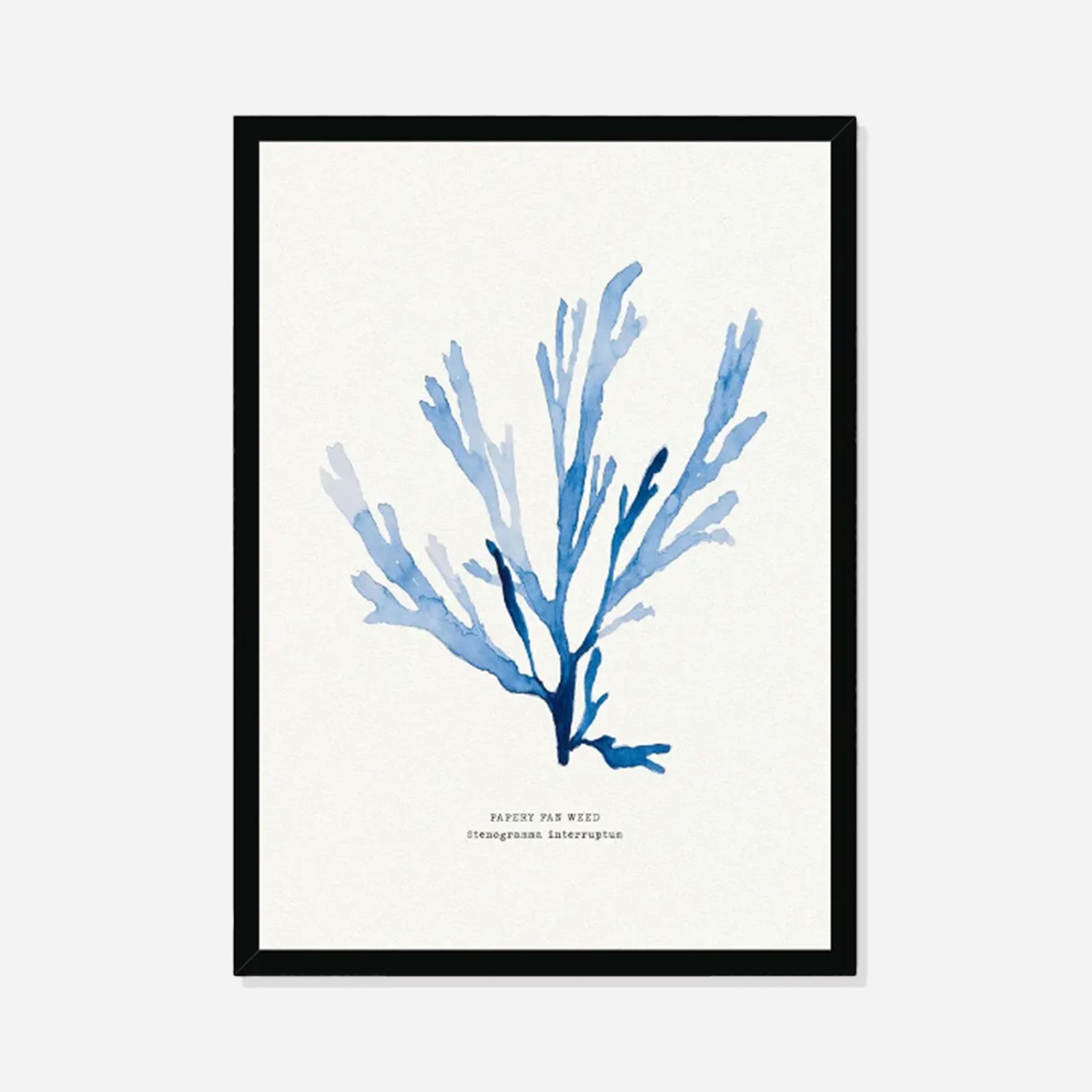 Indigo Seaweed Print Wall Art (Papery Fan Weed) - Framed