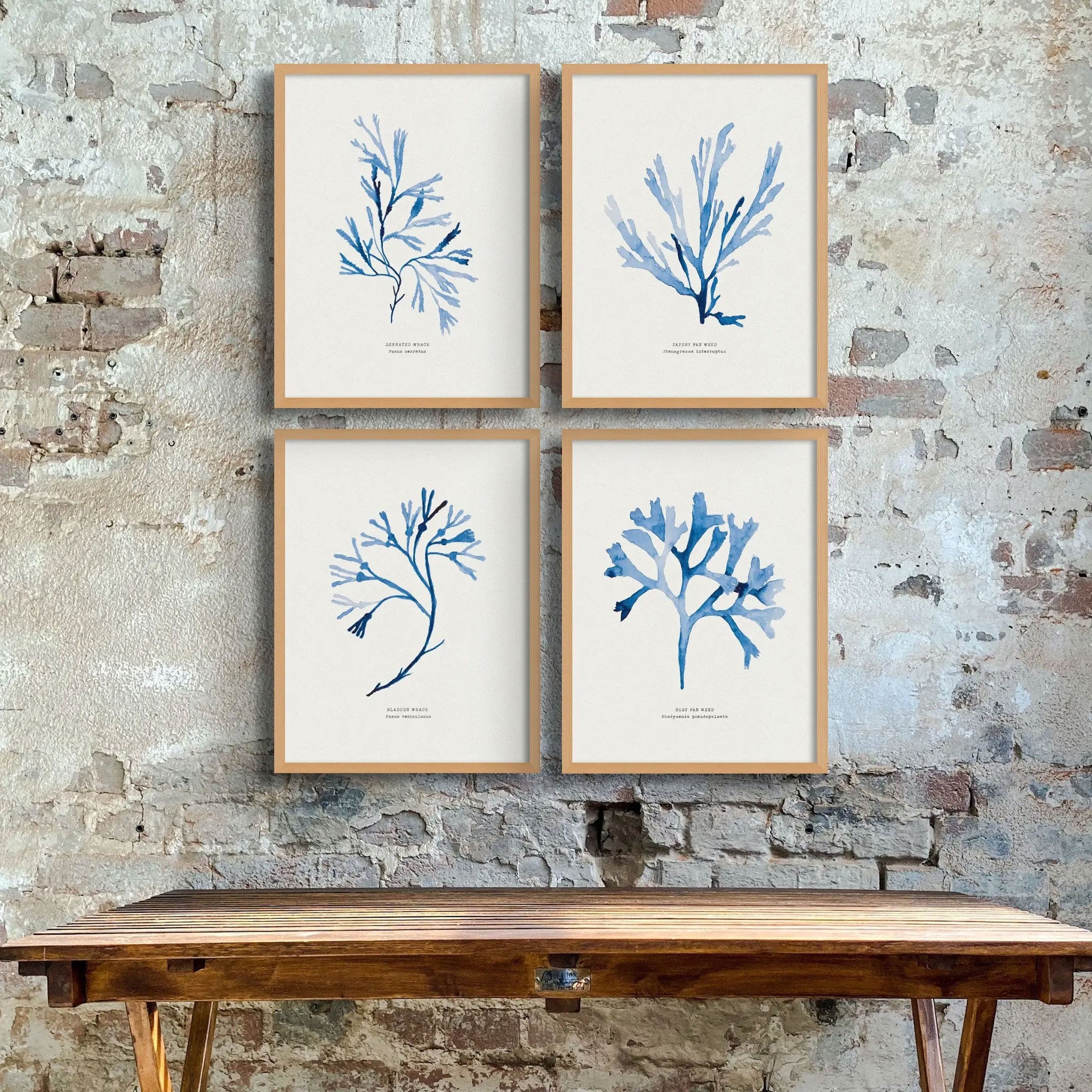 Indigo Seaweed Print Wall Art (Papery Fan Weed) - Framed