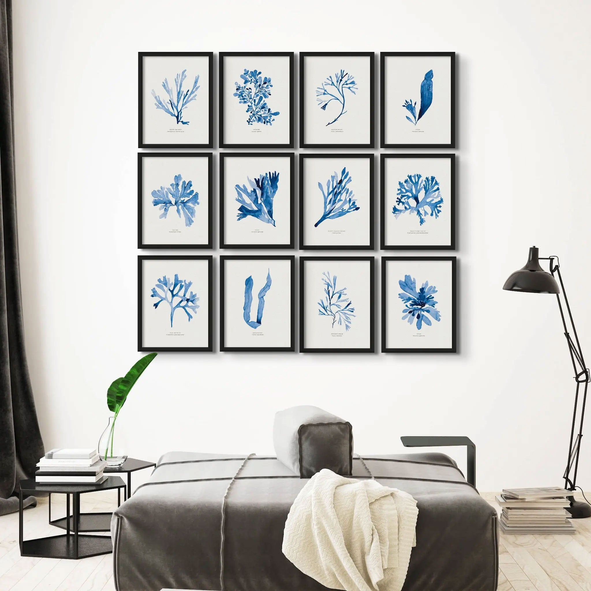 Indigo Seaweed Print Wall Art (Papery Fan Weed) - Framed