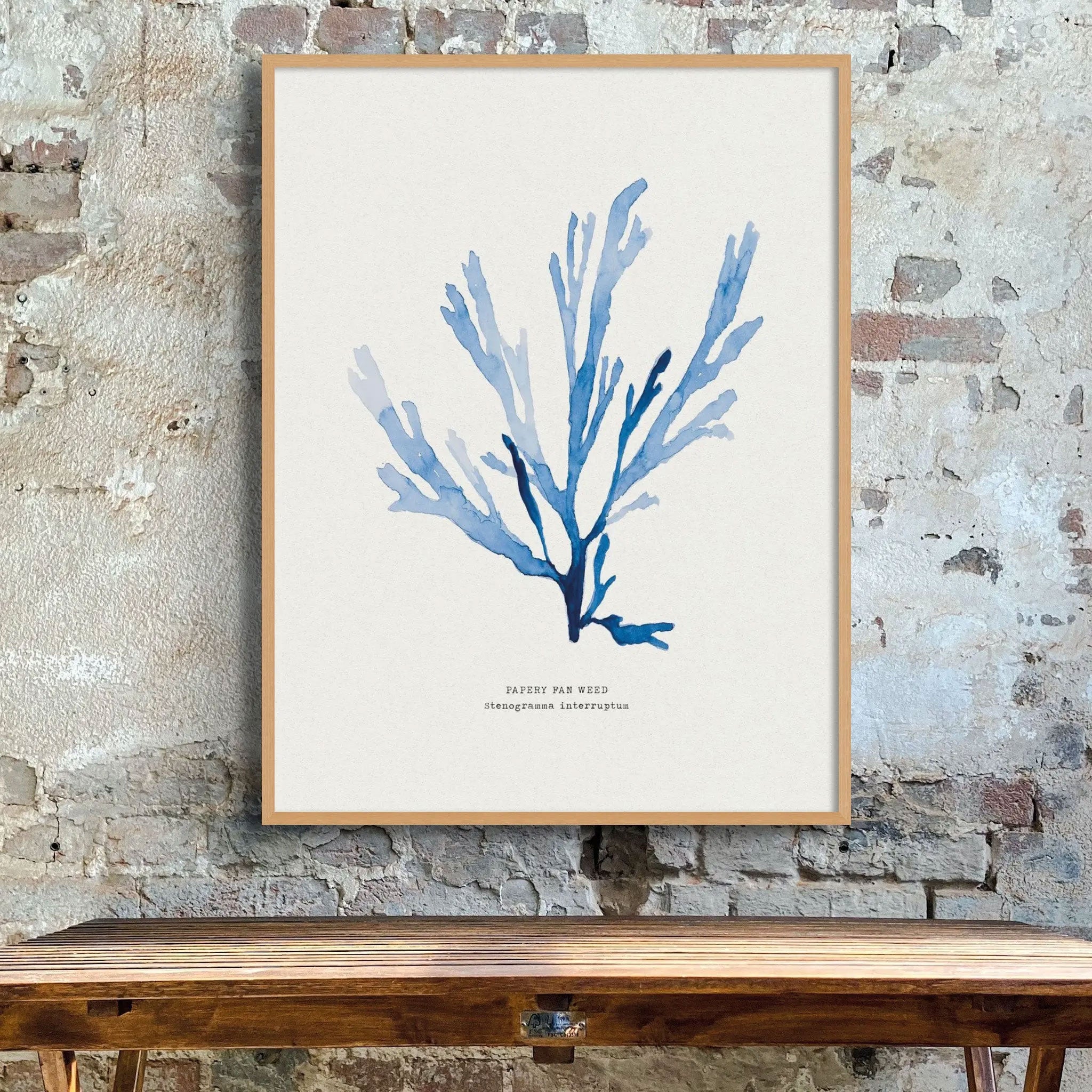 Indigo Seaweed Print Wall Art (Papery Fan Weed) - Framed