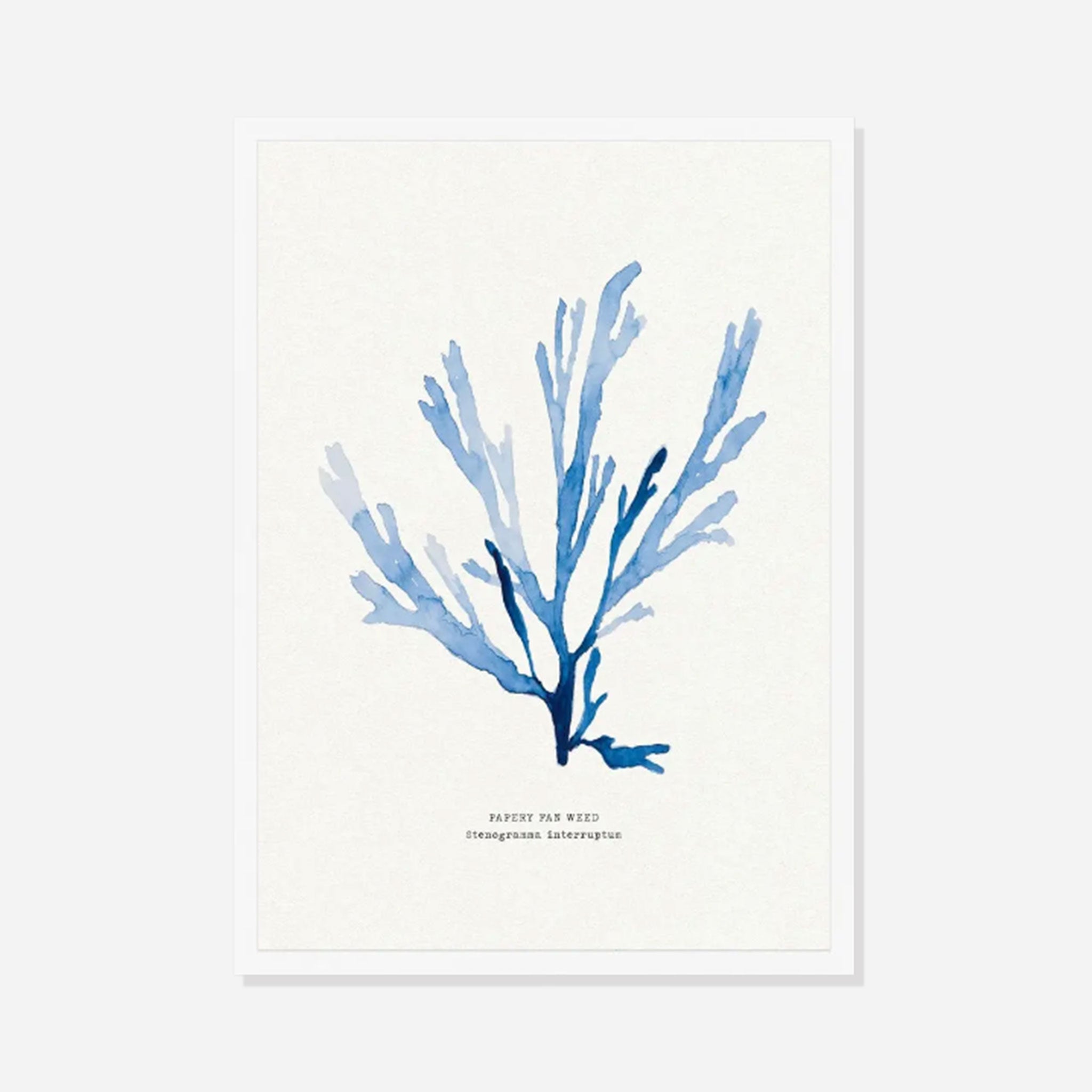Indigo Seaweed Print Wall Art (Papery Fan Weed) - Framed