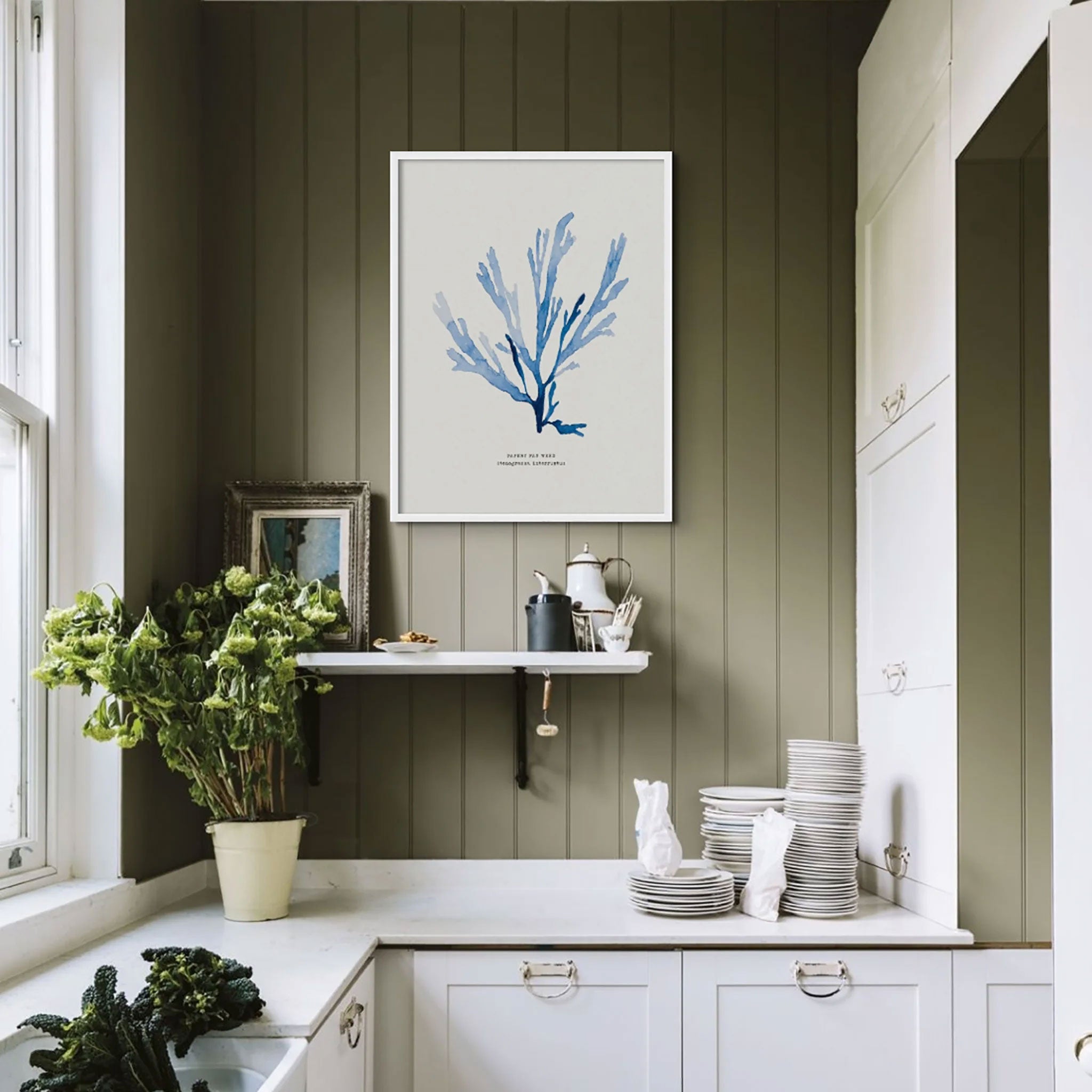 Indigo Seaweed Print Wall Art (Papery Fan Weed) - Framed