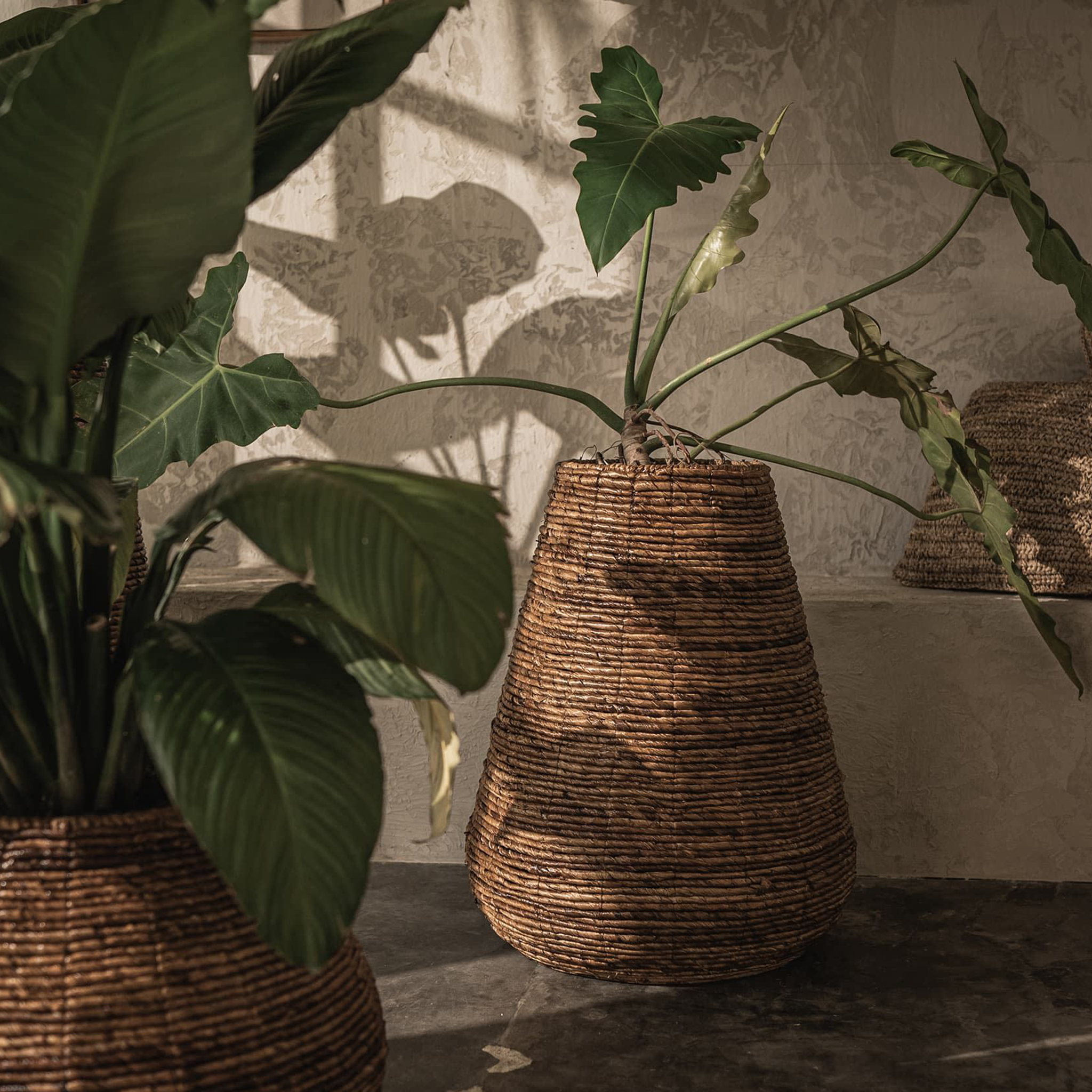 Java Planter