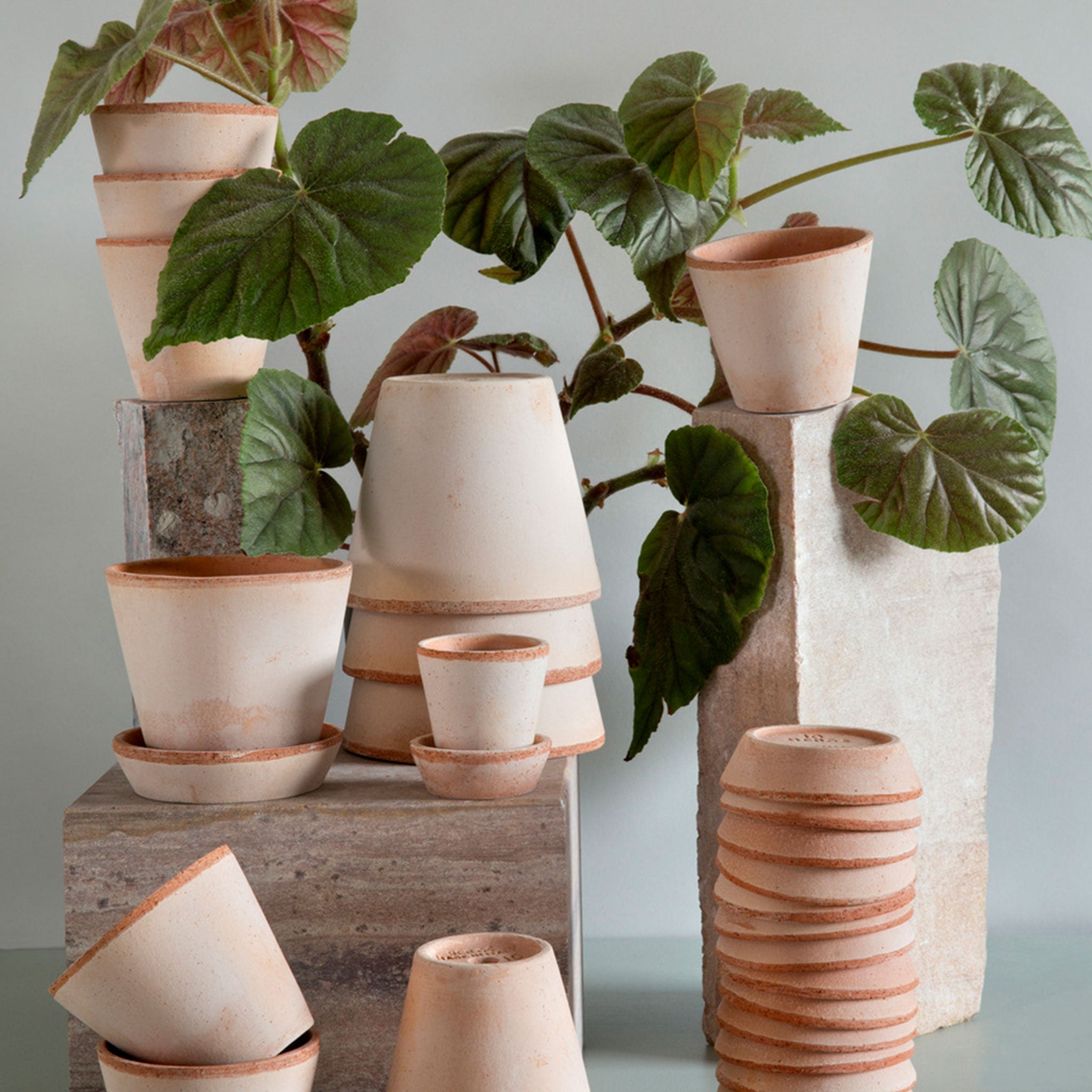 Julie Plant Pot + Saucer | Rosa