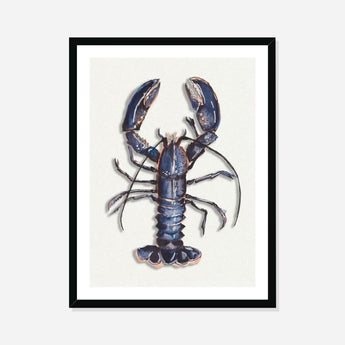 Lobster Watercolour Shellfish Print