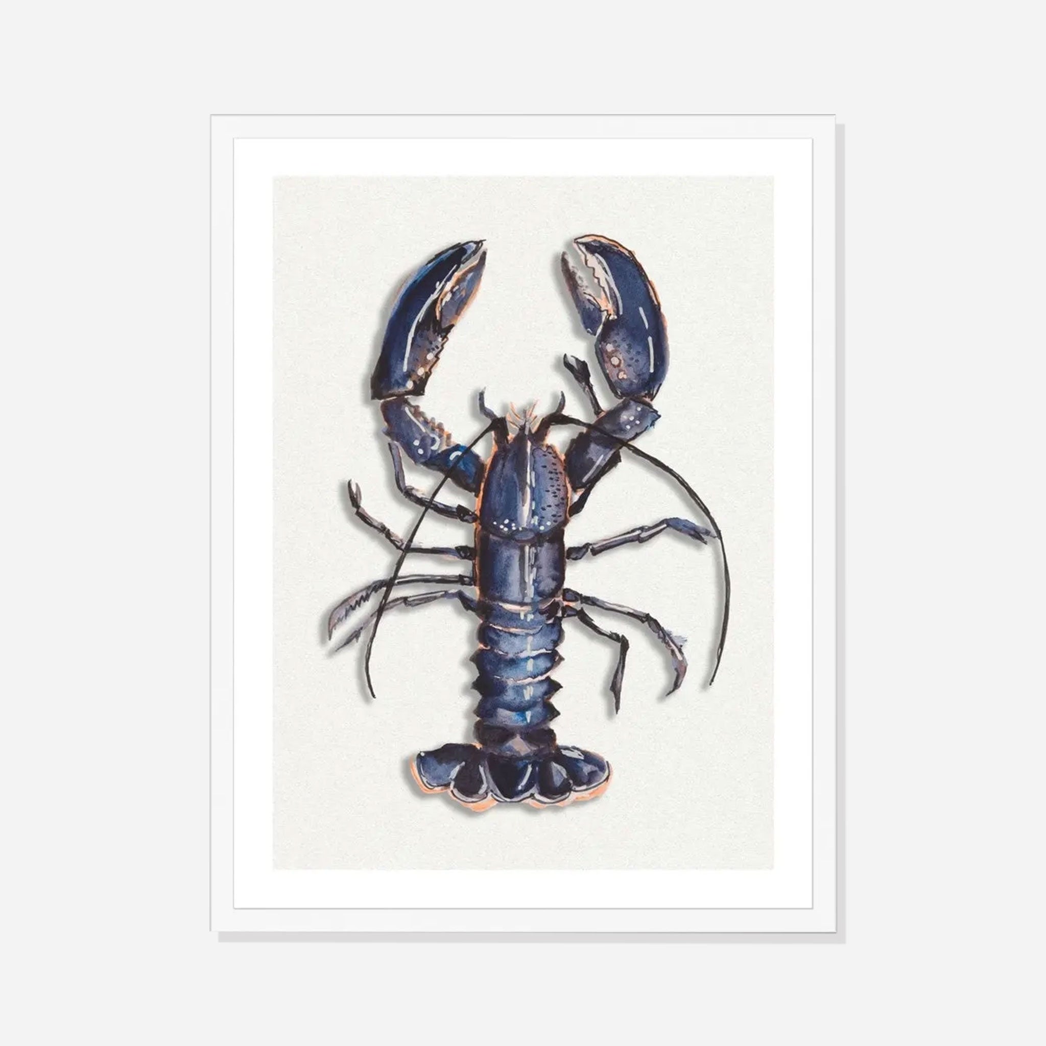 Lobster Watercolour Shellfish Print