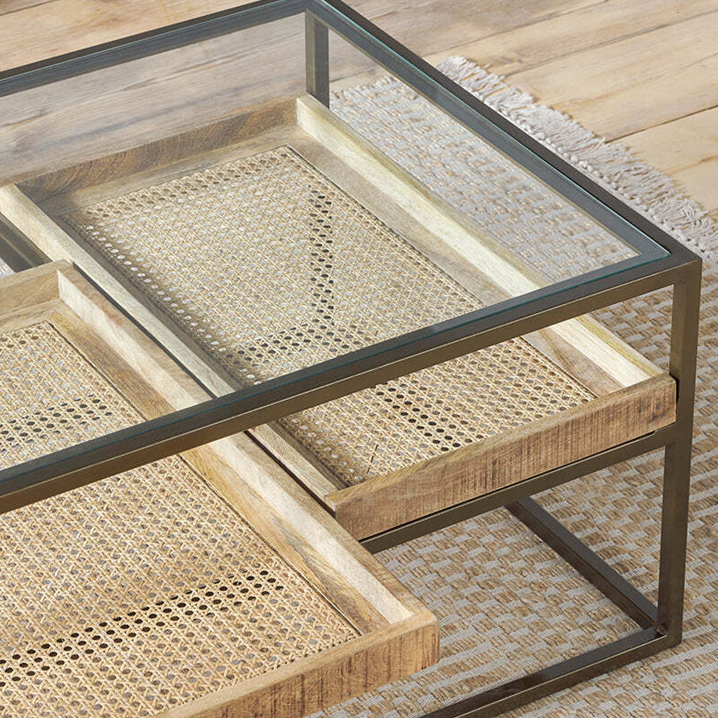 Anyar Iron & Mango Wood Display Coffee Table