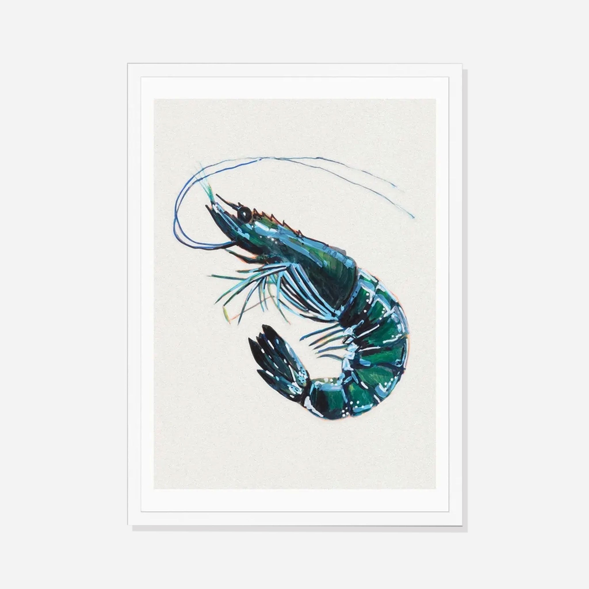 Prawn Watercolour Shellfish Art