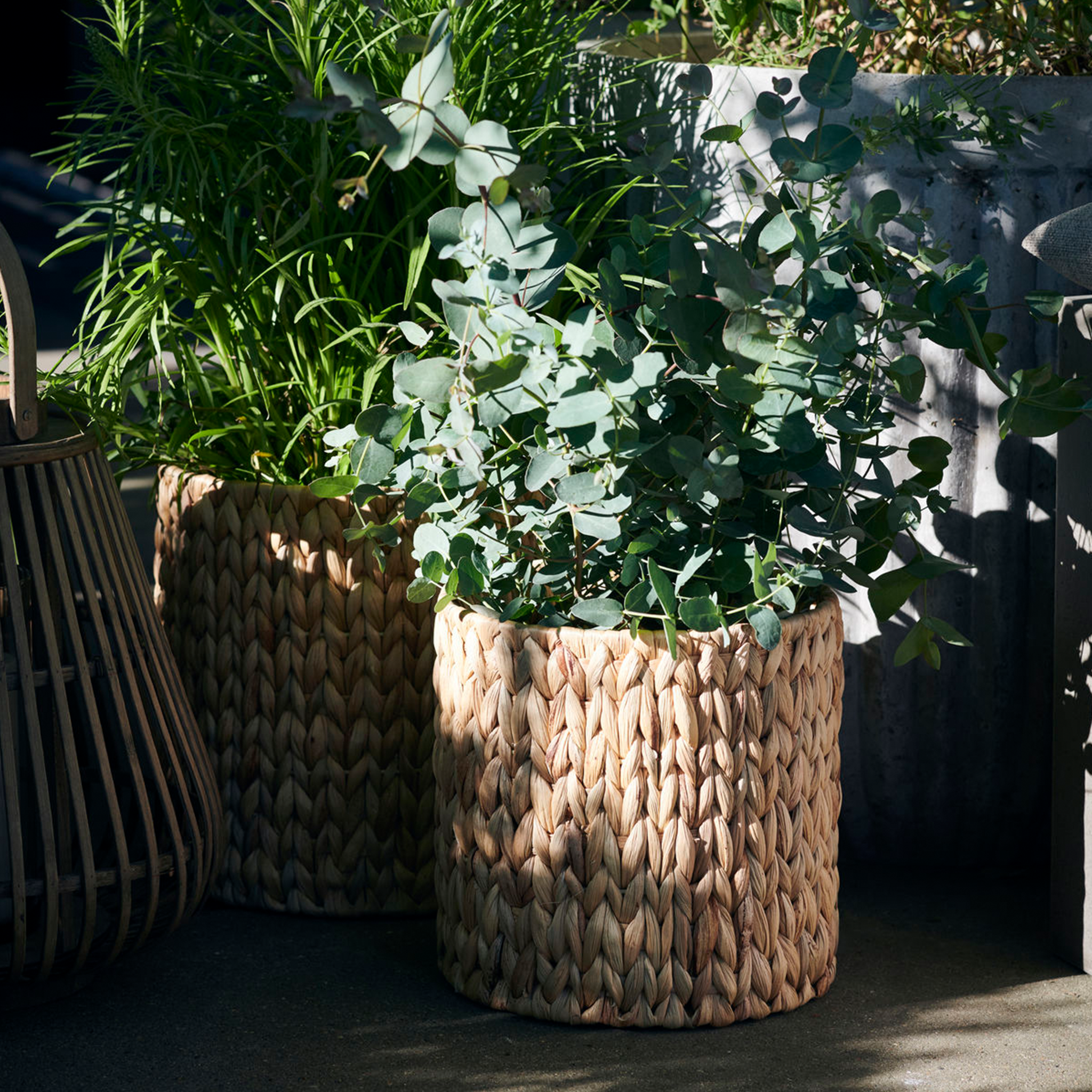 Roun Natural Baskets - Set of 3