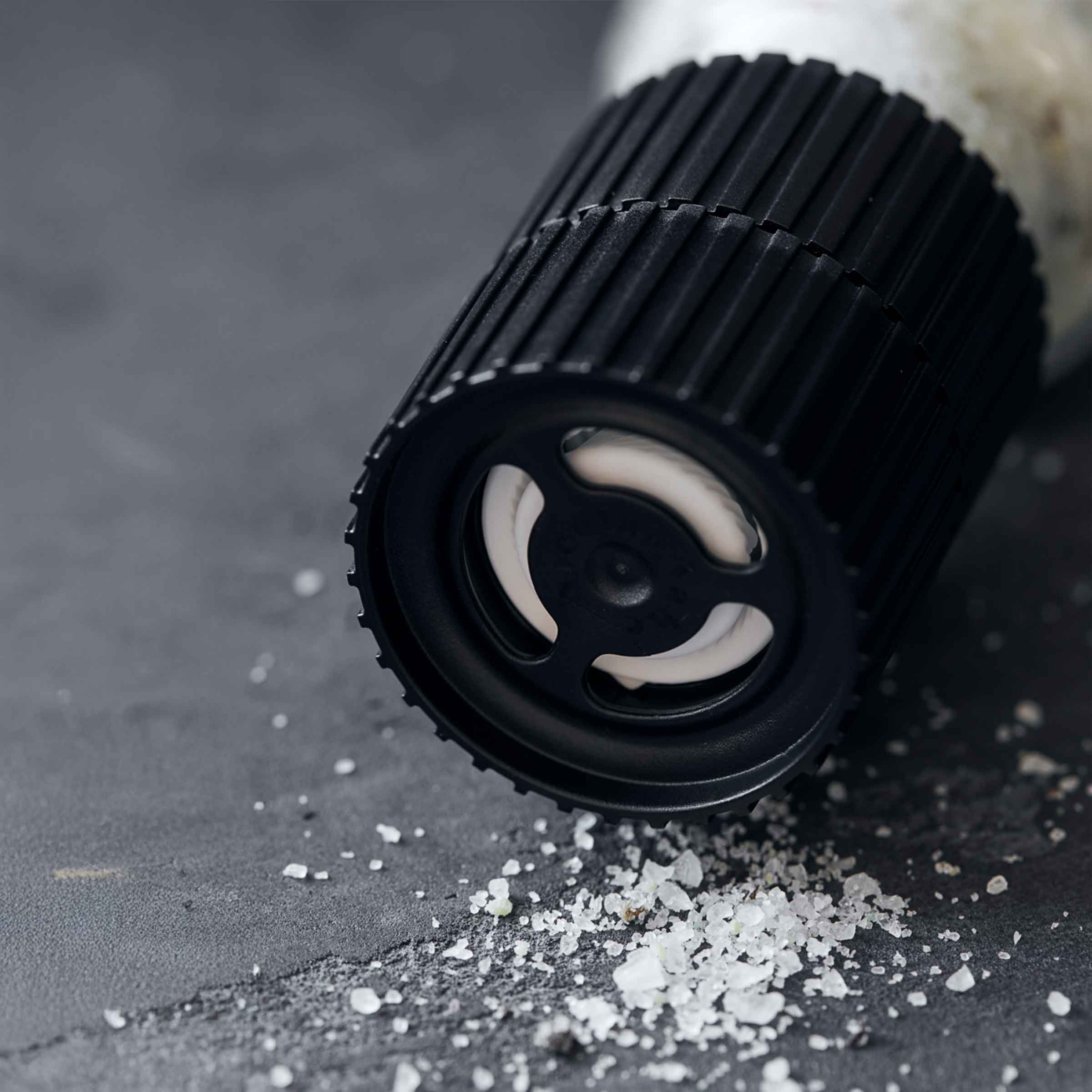 Salt | Parmesan Cheese & Basil