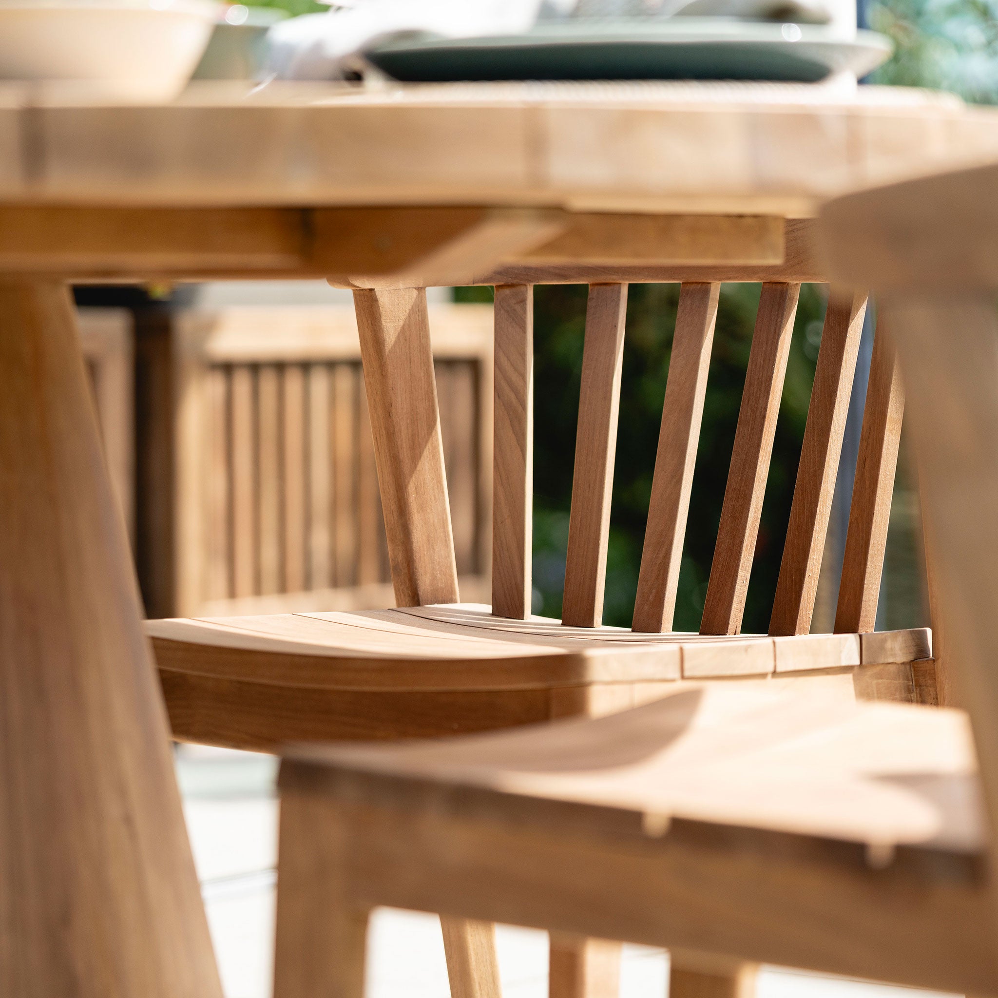 Solo Dining Chair