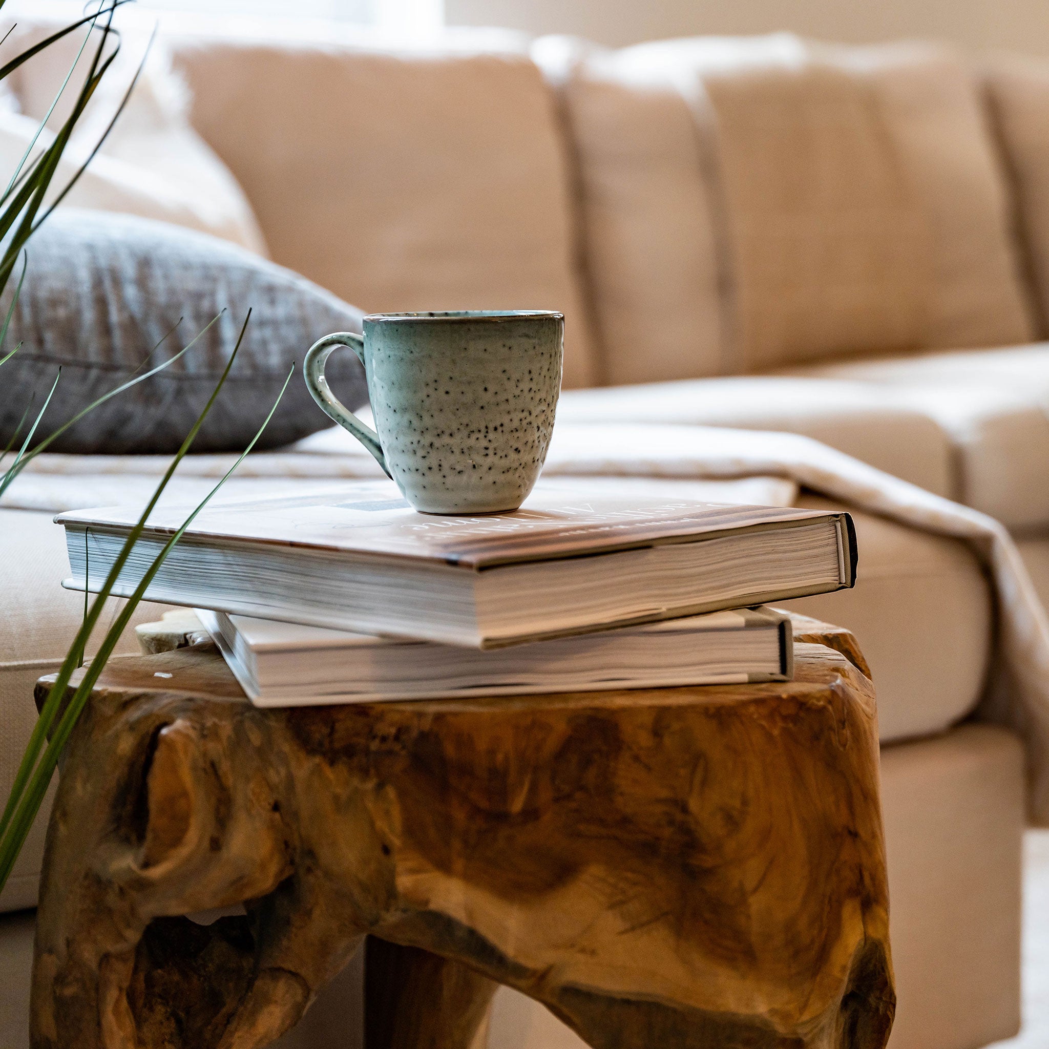 Teak Root Squid Side Table