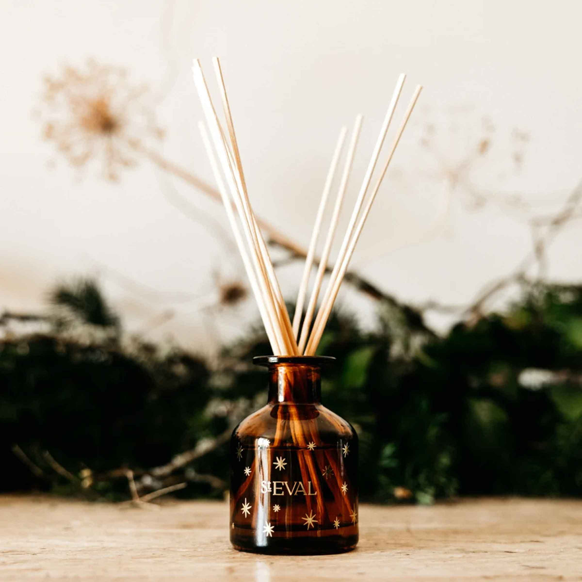 Winter Thyme Christmas Mini Diffuser