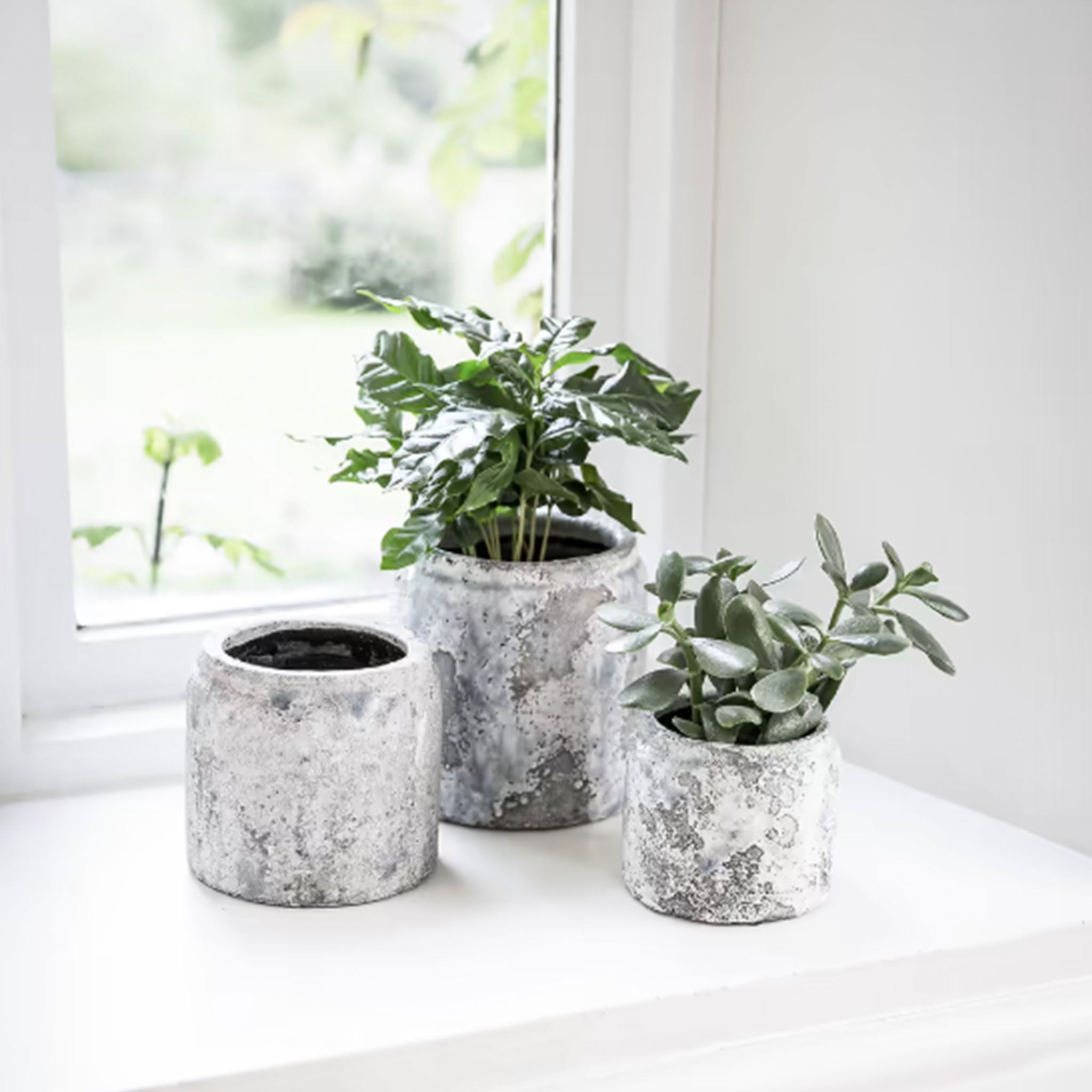 Withington Pot | 11.5cm