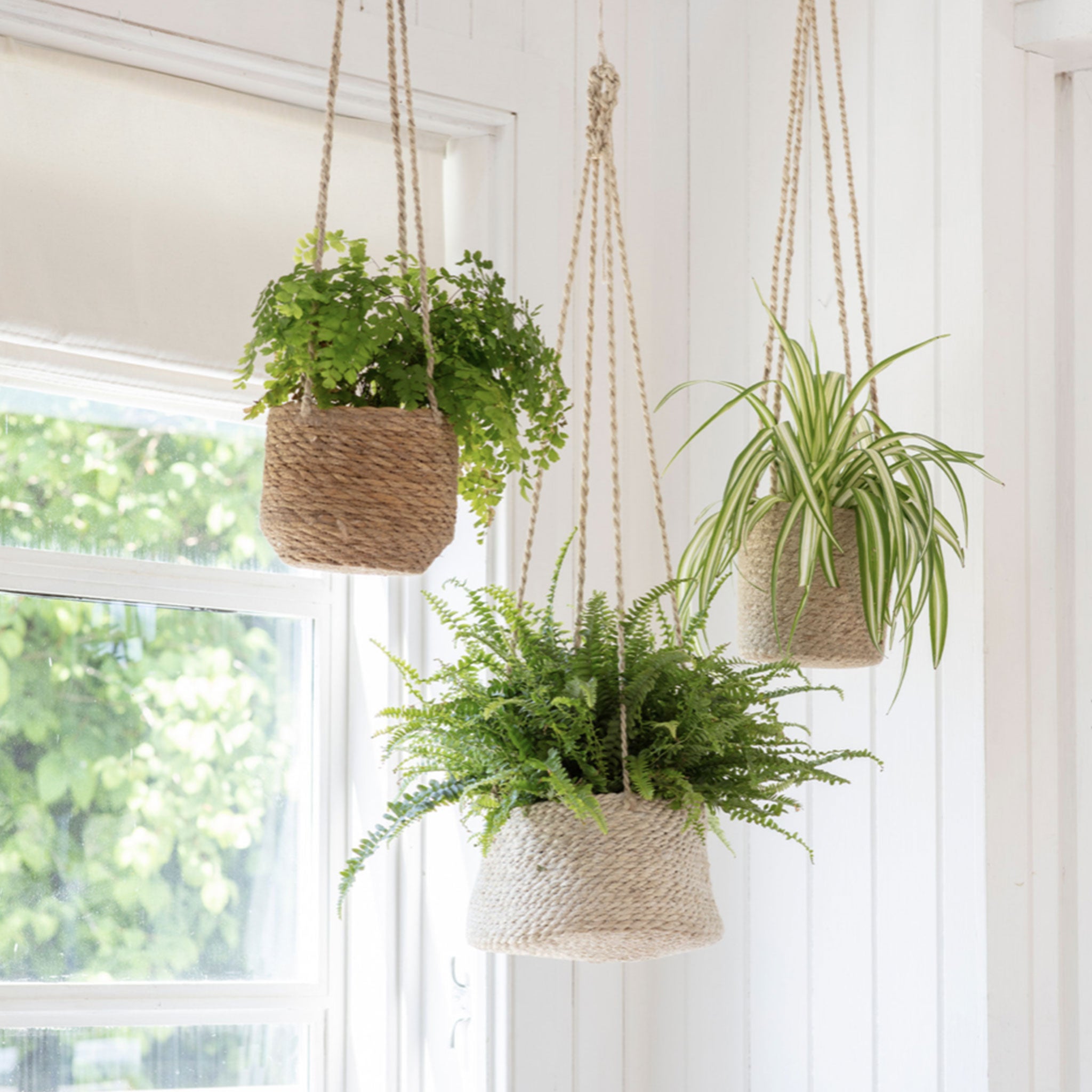 Woven Hanging Plant Pot - Tall