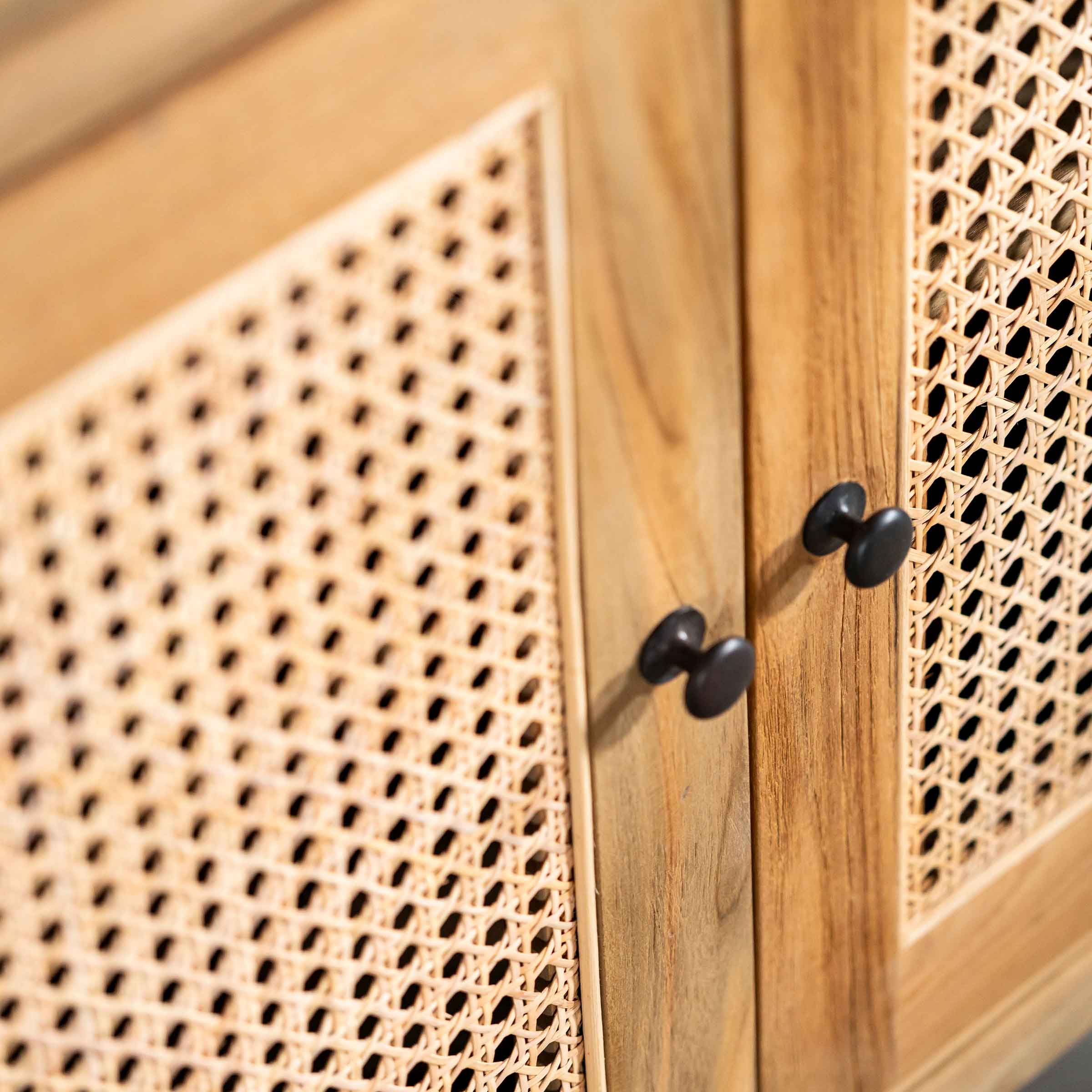 Arch Rattan Cabinet | 2 Door