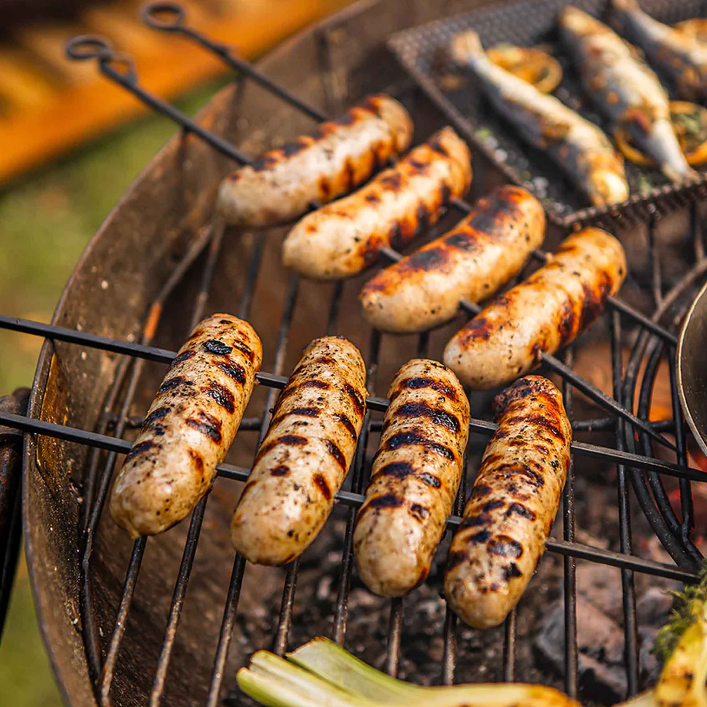 BBQ Skewers Set with Rack