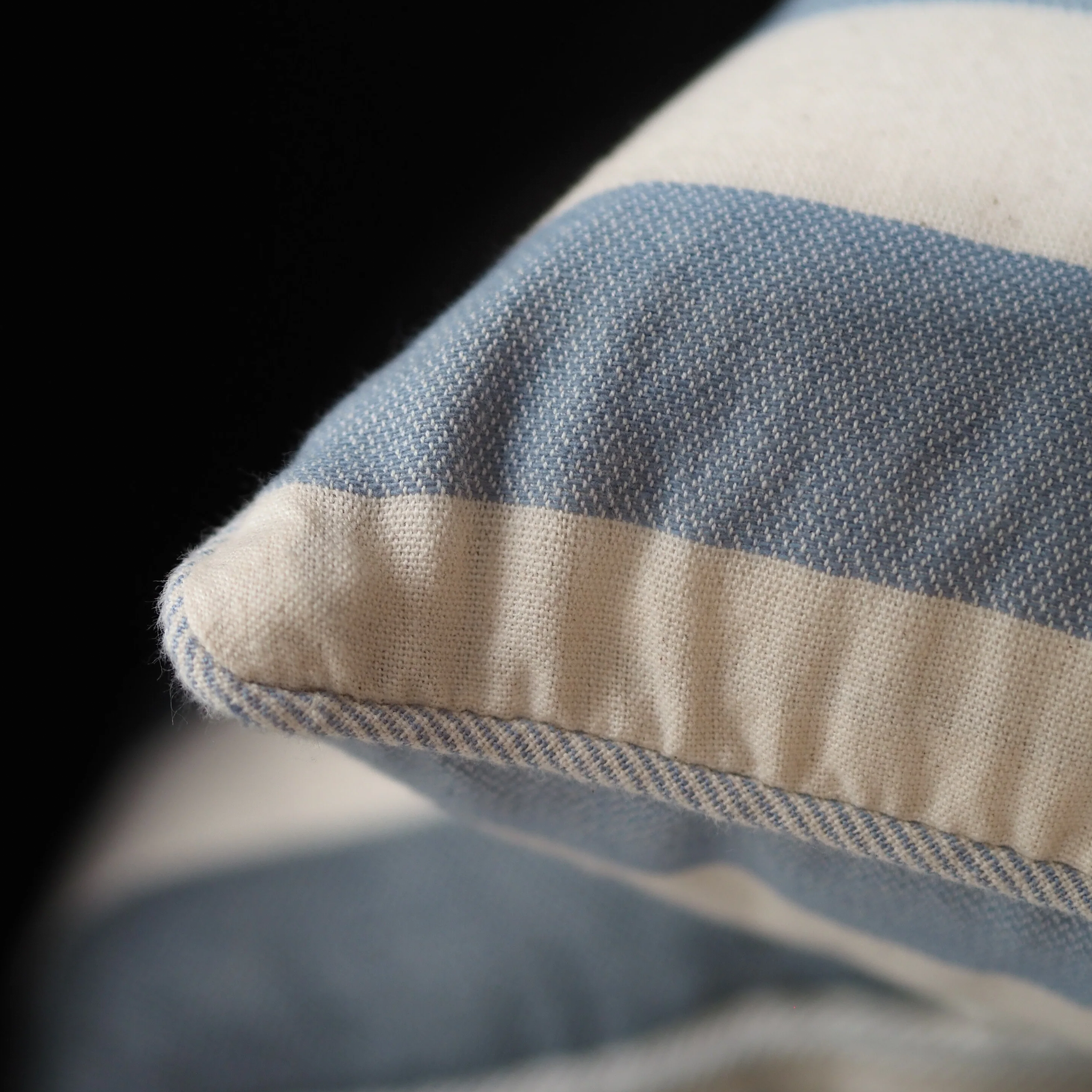 Bold Stripe Cushion | Blue