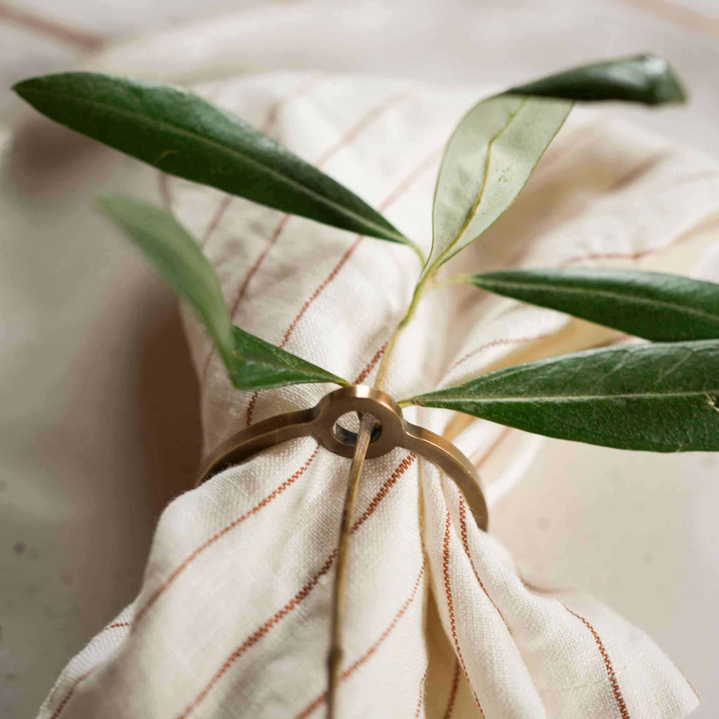 Brass O Napkin Rings | Set of 4