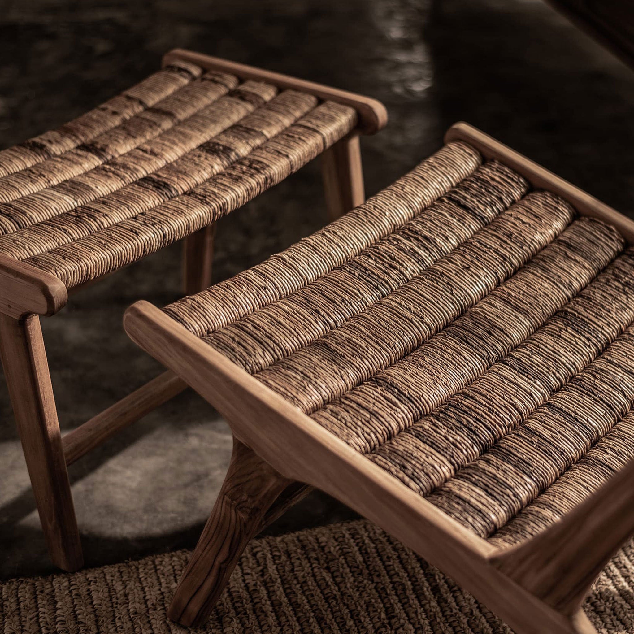 Caterpillar Beetle Chair