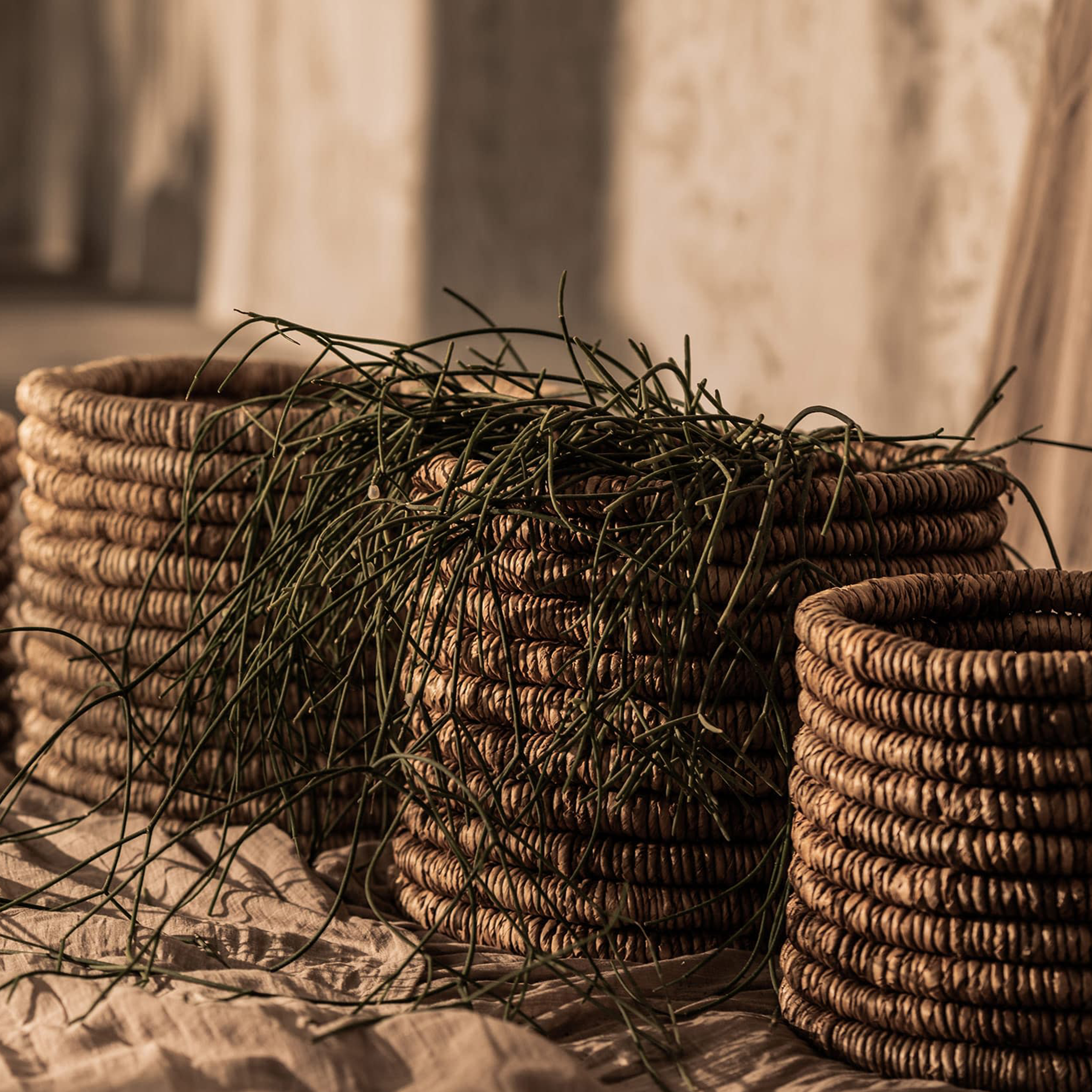 Caterpillar Ambang Basket I Two Tone