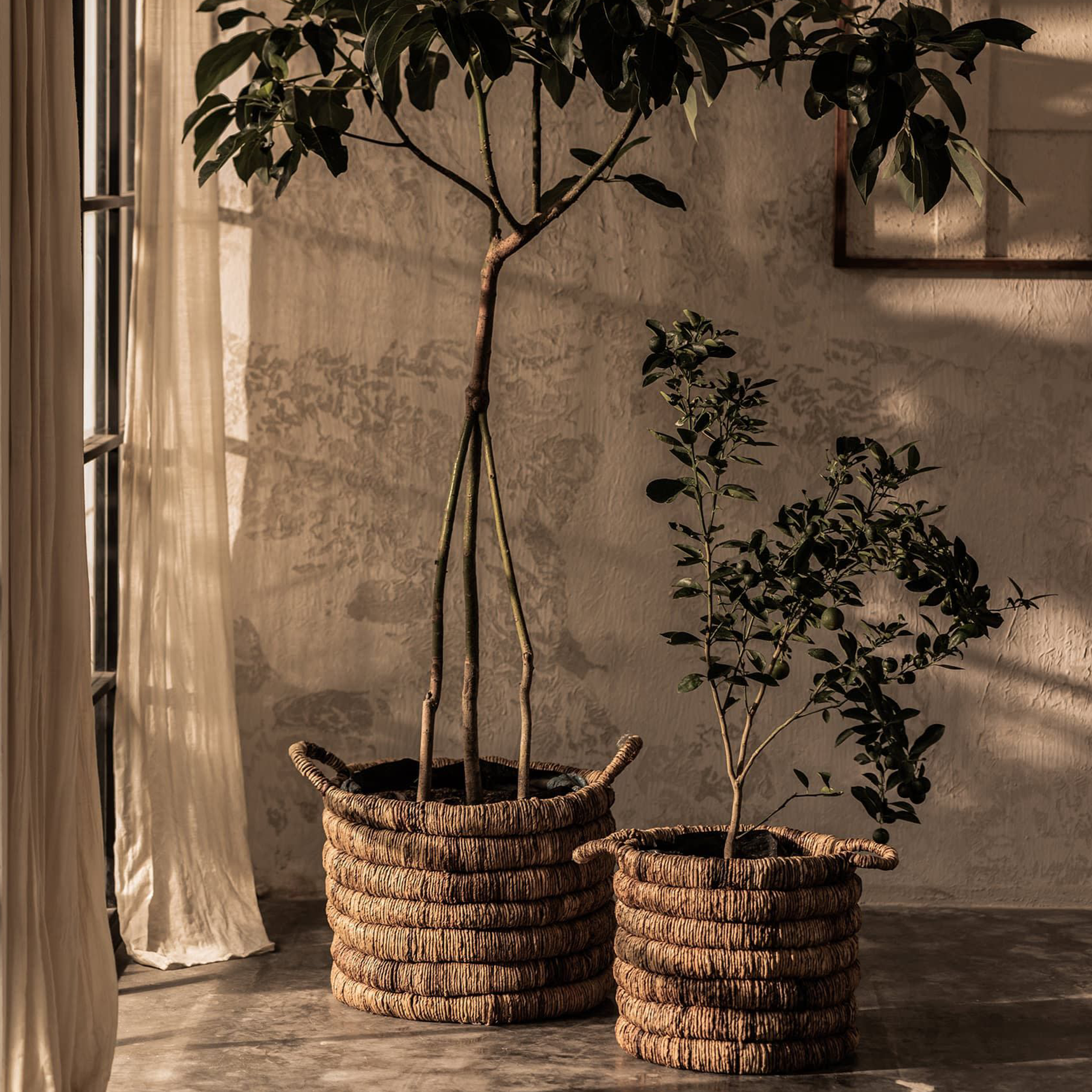 Caterpillar Sago Round Basket